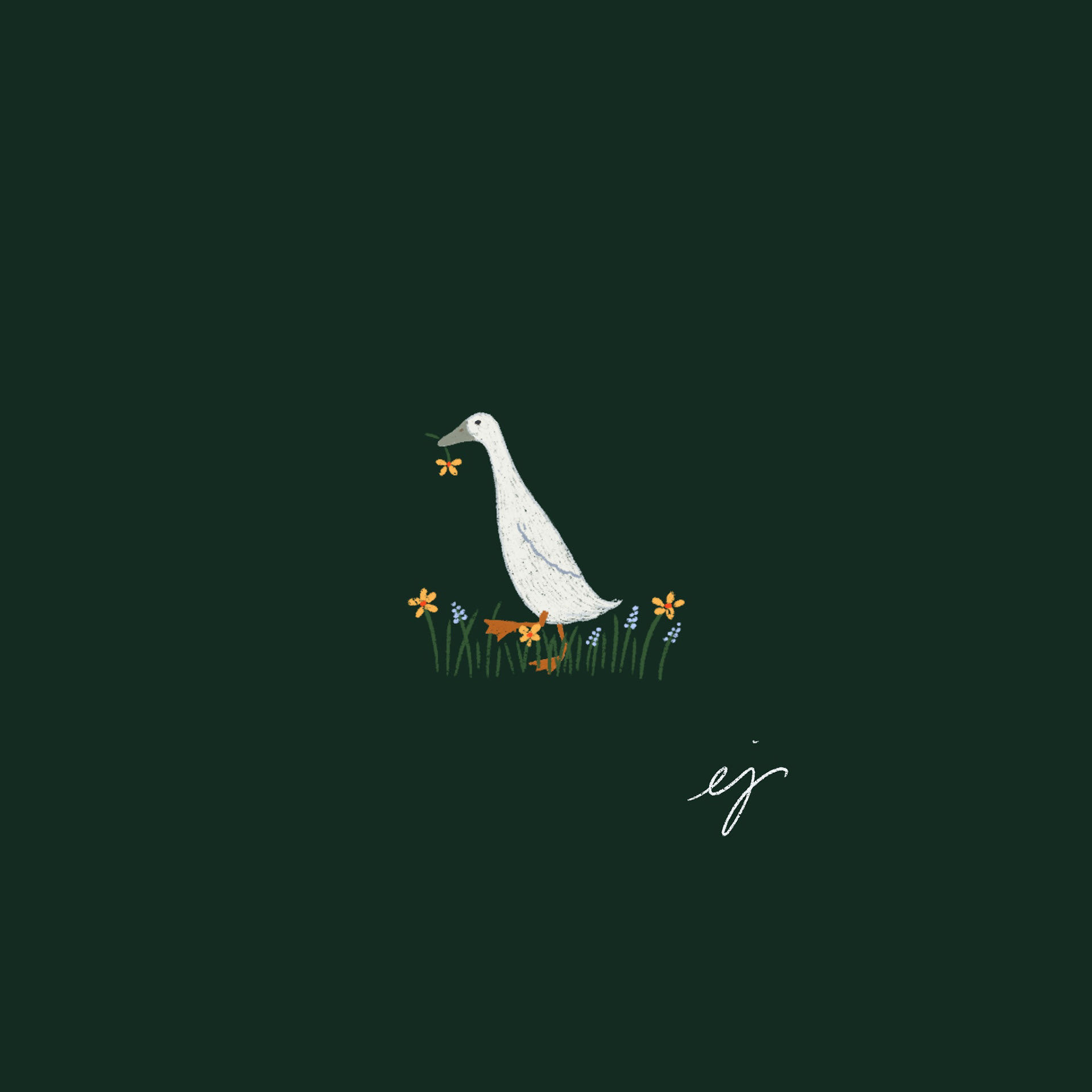 Hand-drawn Digital illustration of a white duck on a dark green background