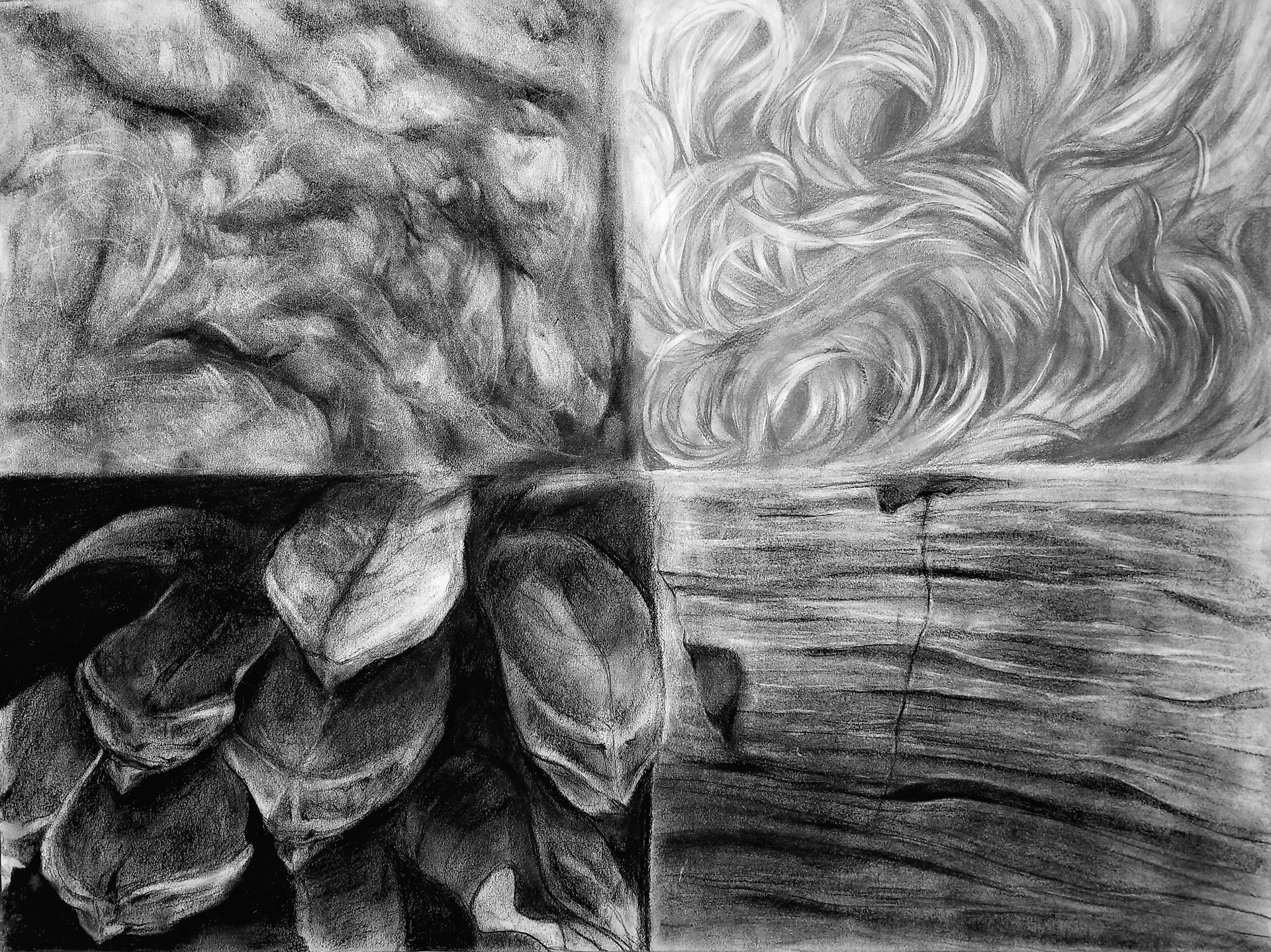Charcoal, Conte Crayon, Graphite 18x24 2019