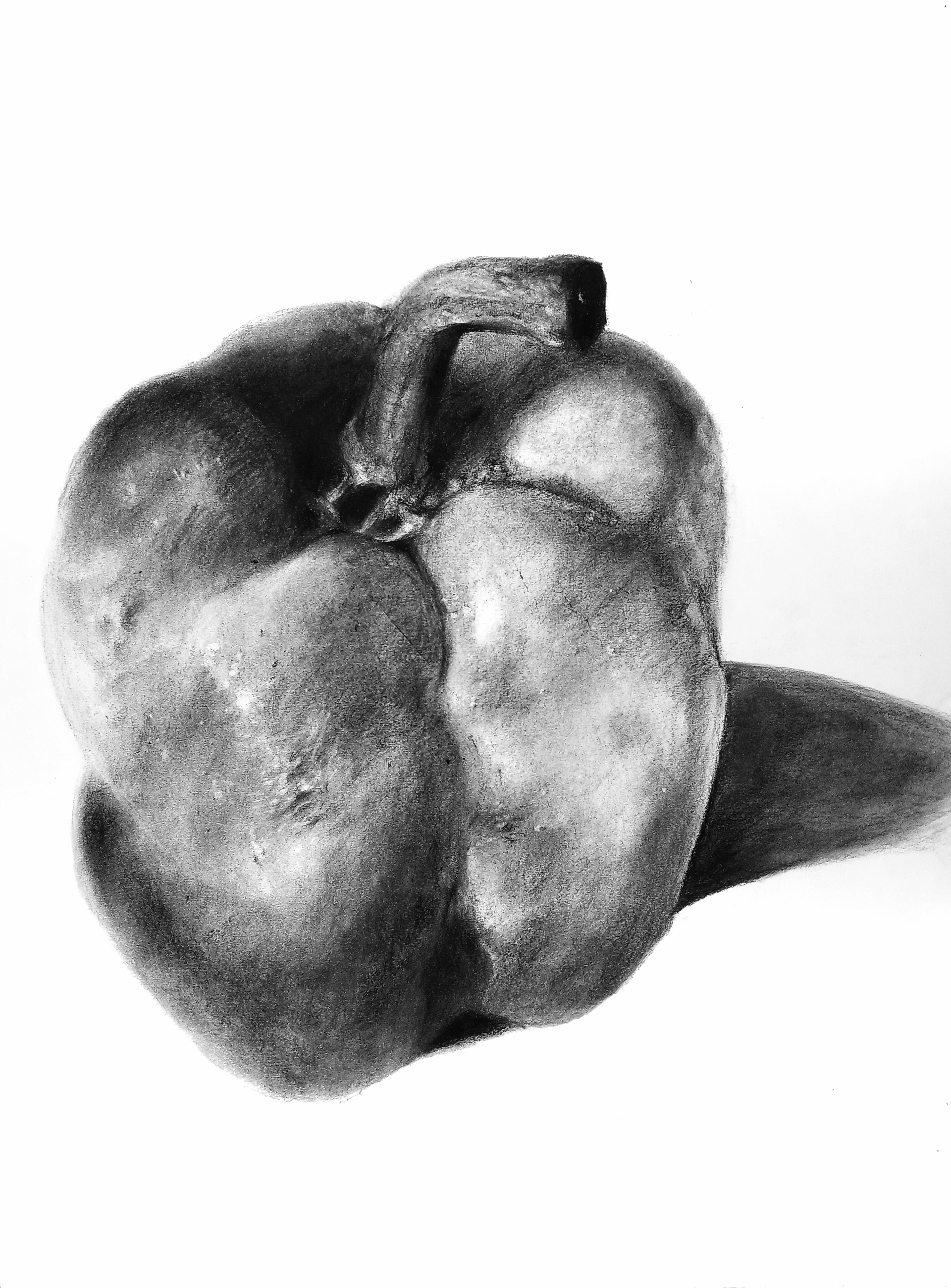 Charcoal 18x24 2019
