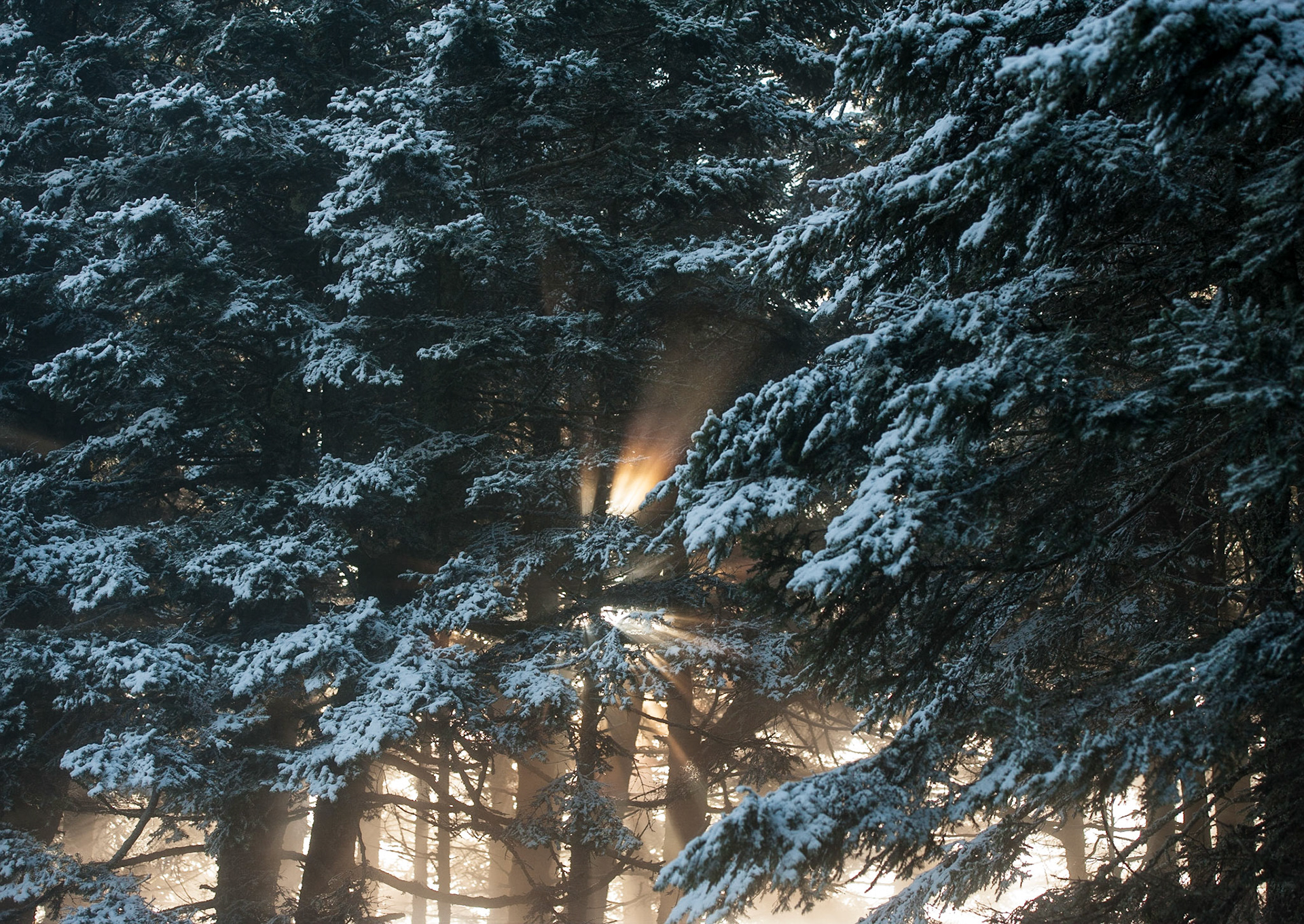 Dessine avec la lumière