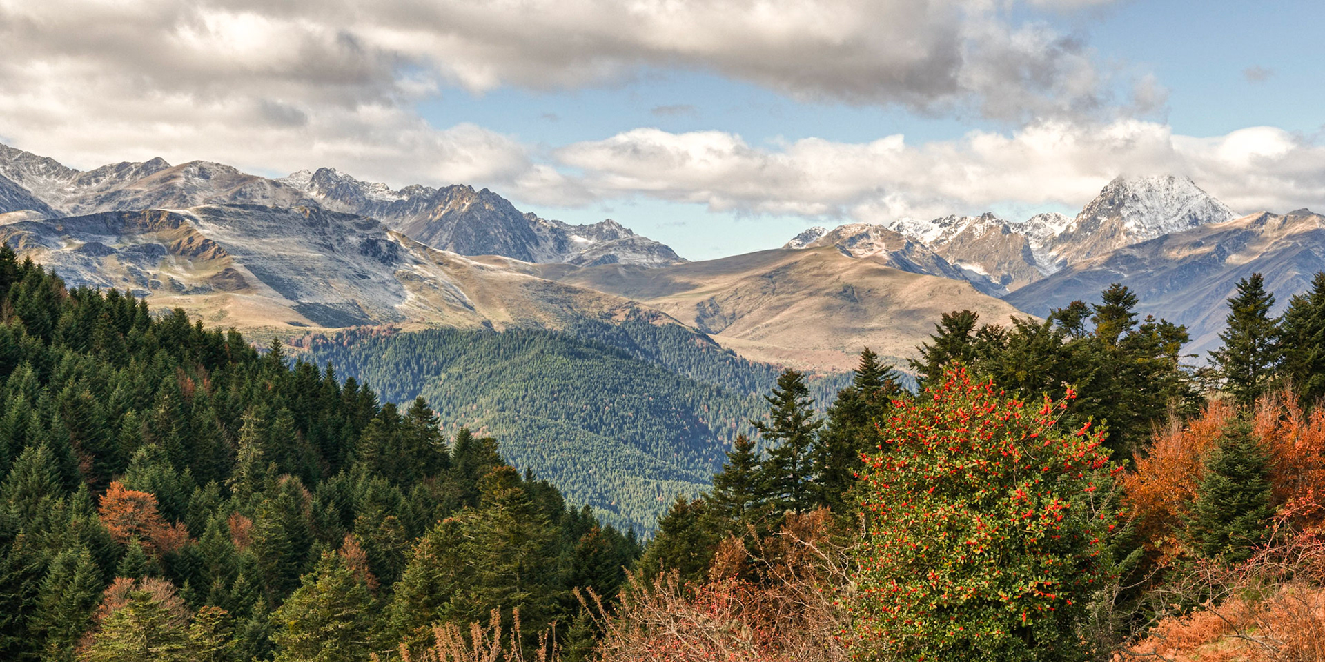 Vue d'Aspin