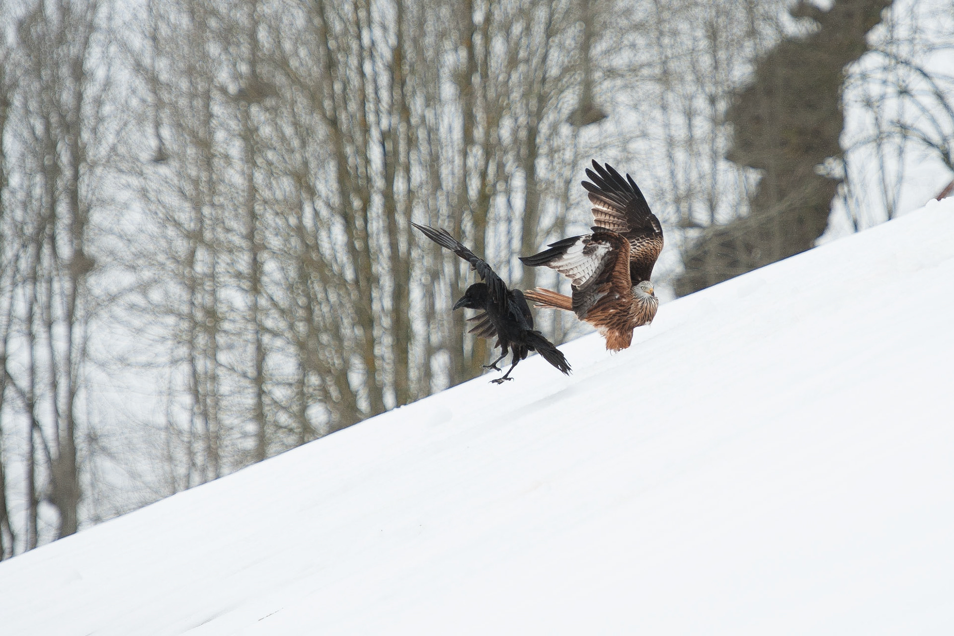 Alors on danse !