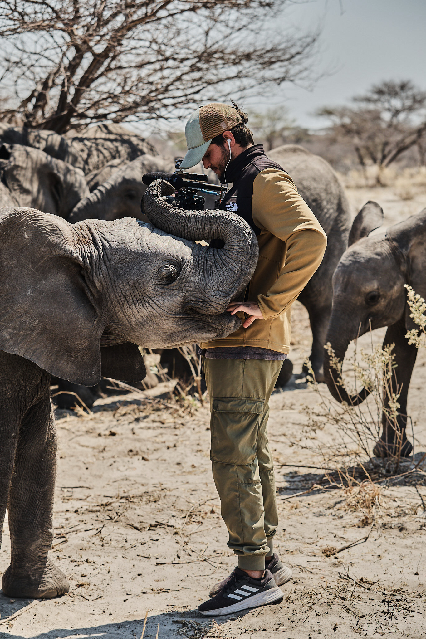 Francisco Galeazzi filming among resting elephants as a young elephant rests its trunk on his camera, during the People or Planet? project in Africa