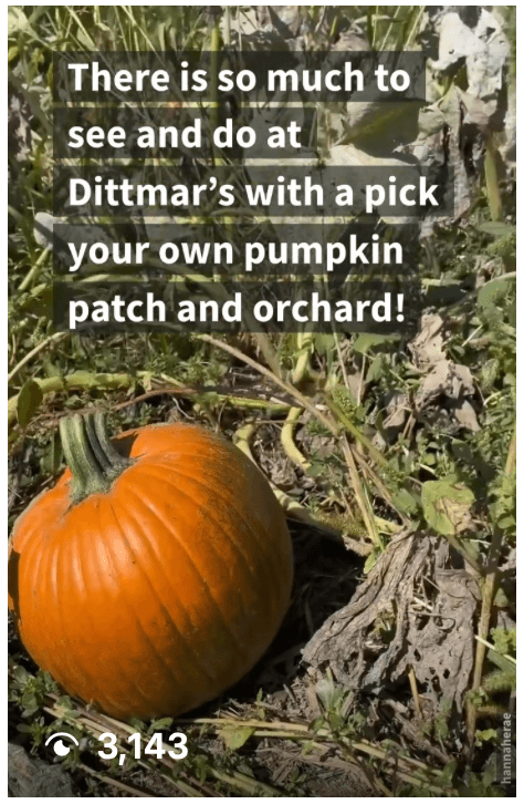 Dittmar Farms and Orchard