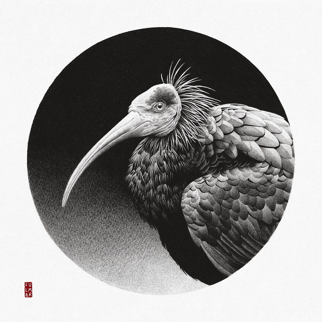 Explorers Against Extinction exhibition 2022