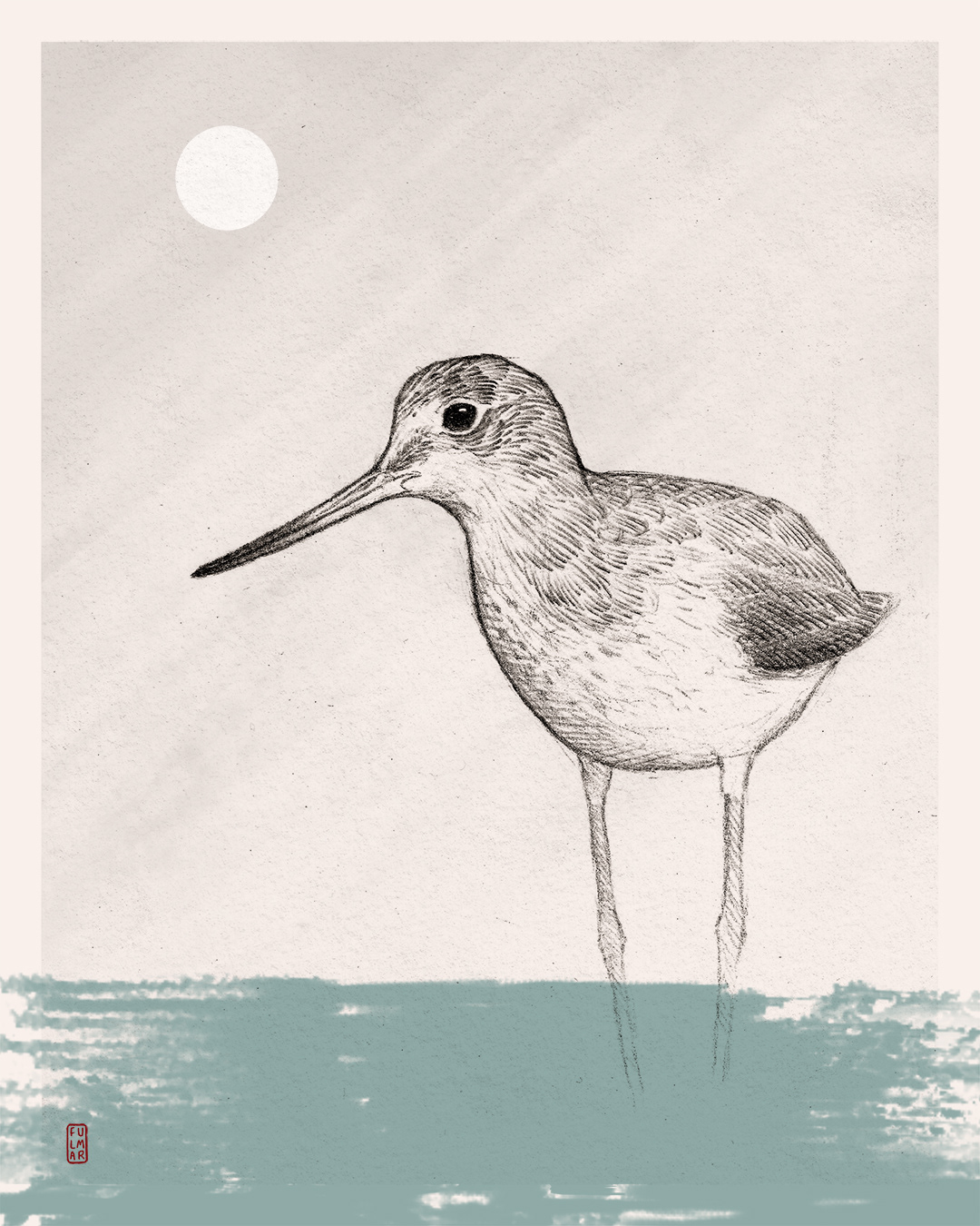 Greenshank