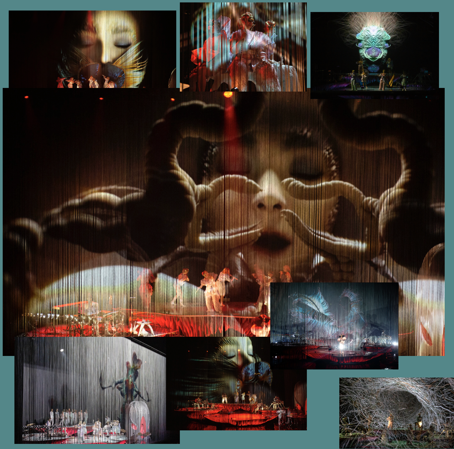 Bjork concert using spaghetti curtains with video projections.