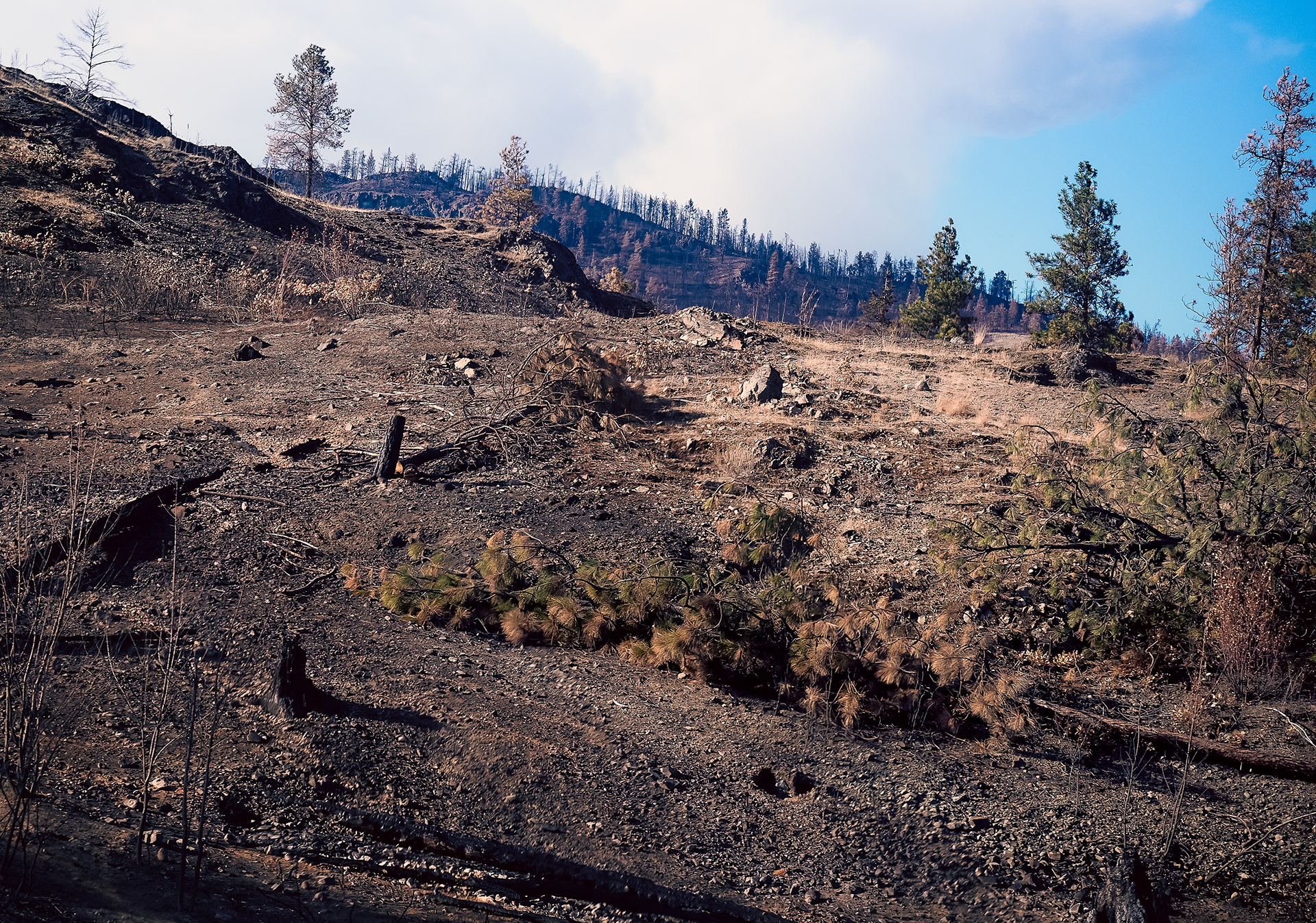 Controlled Burning Area (2023)