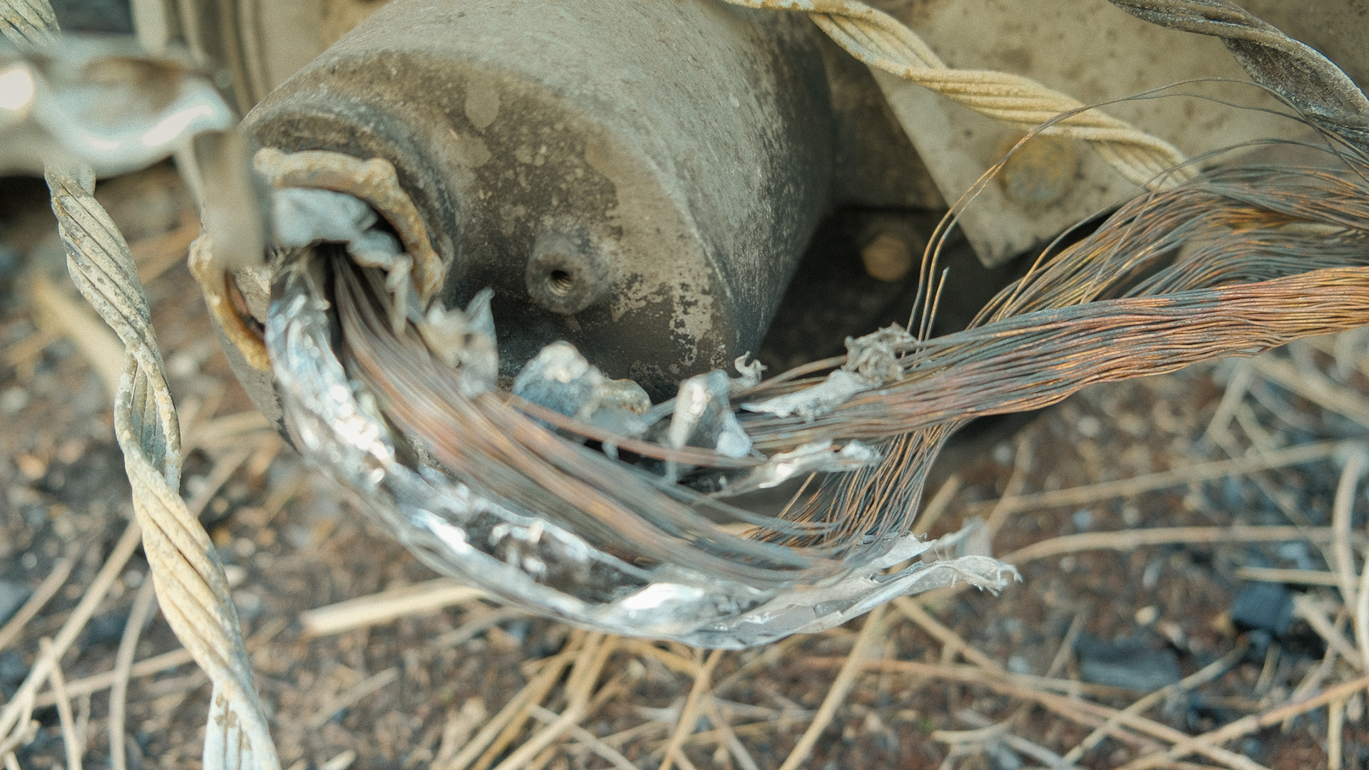Decapitated Power Line (2023)