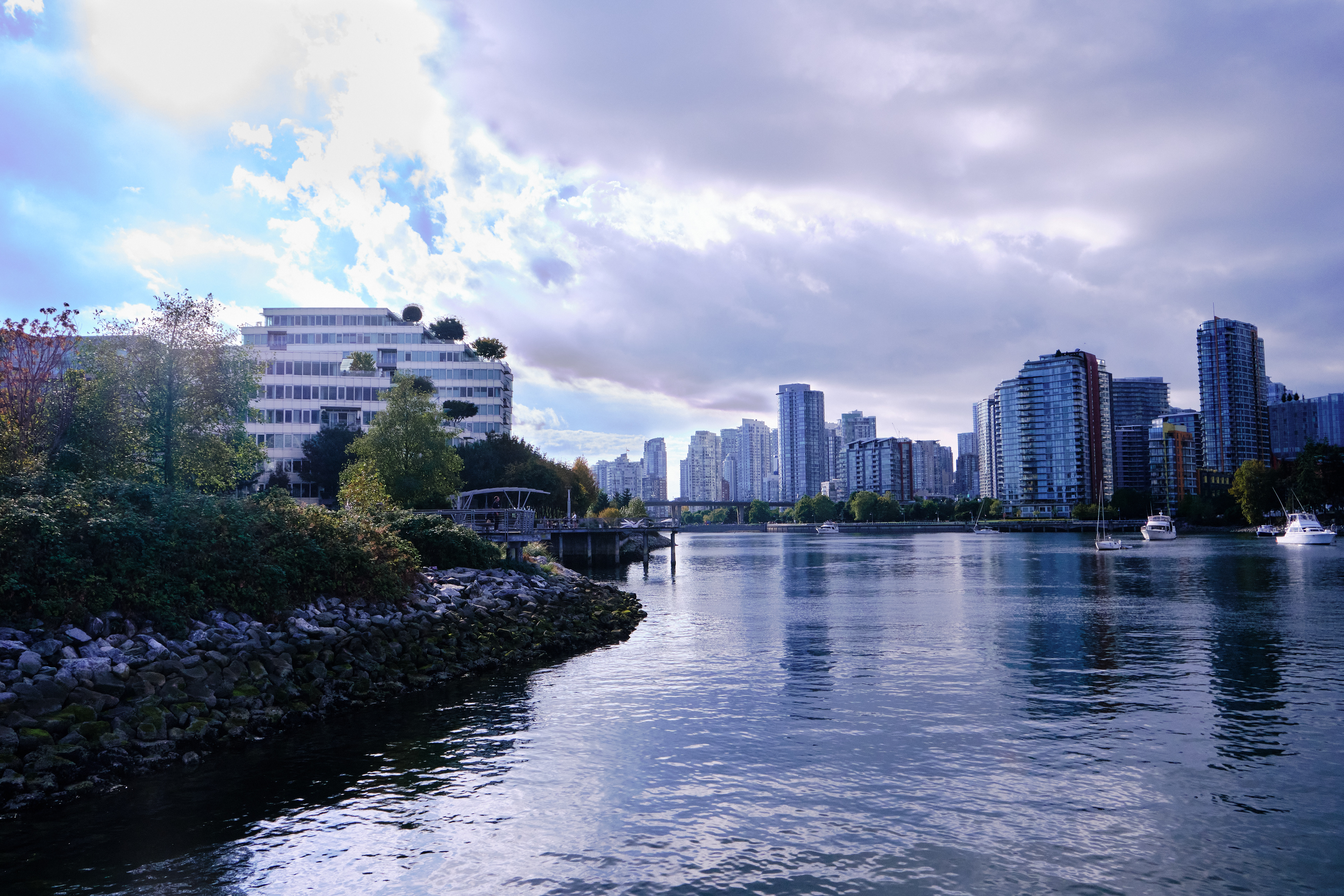 Bank of False Creek (2020)