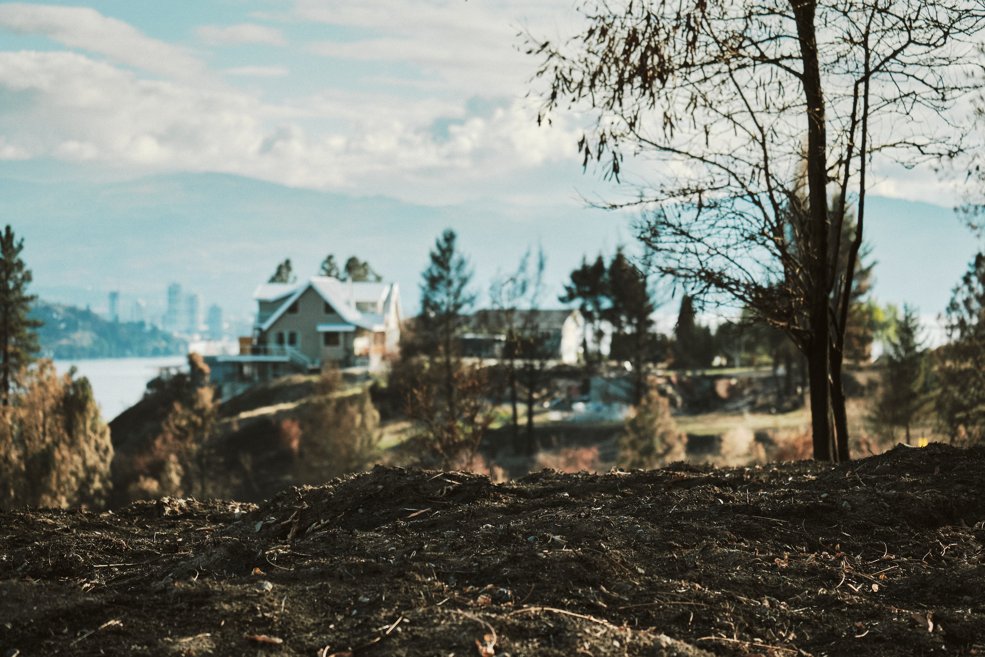 Ash n' Soil (2023)