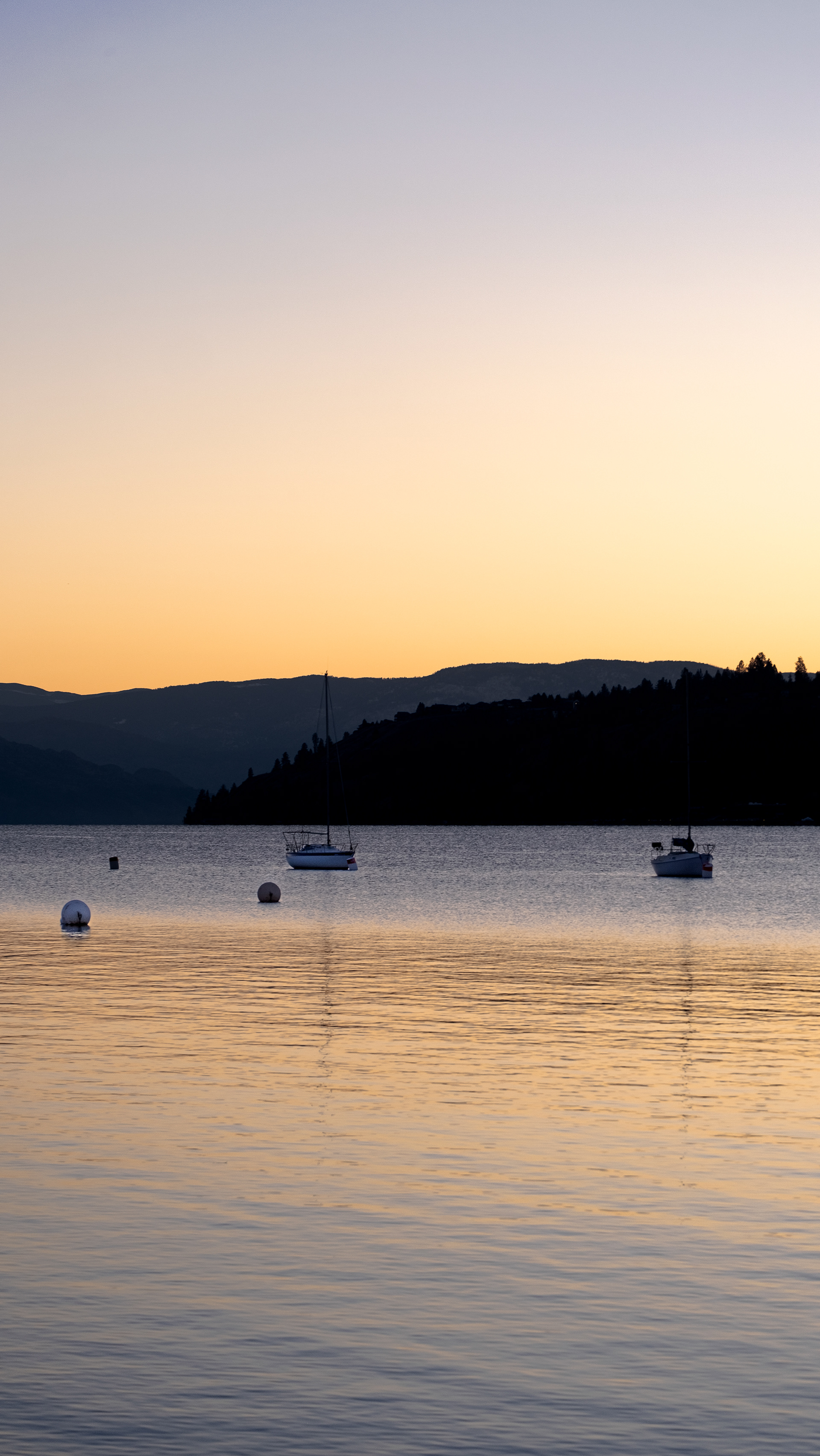 A  Splash of Gold (2022)