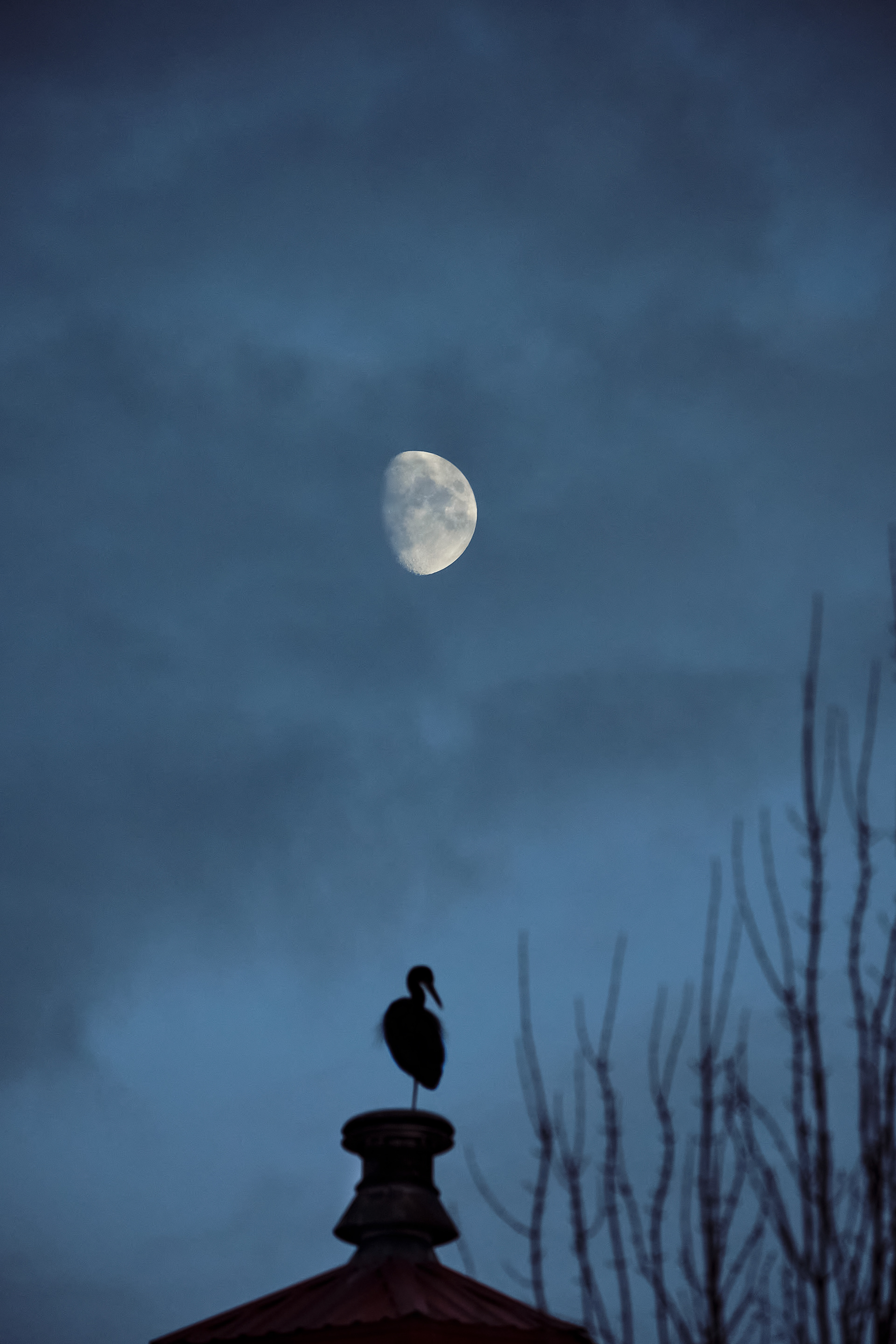 Blue Hour Silhouette (2022)
