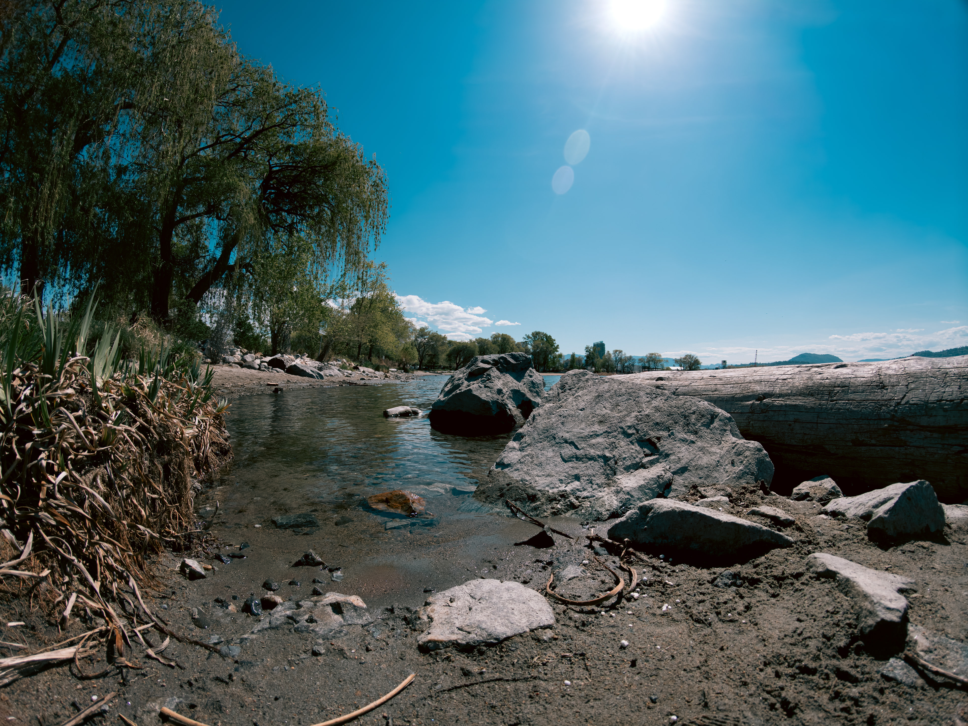 Beach Inlet (2026)
