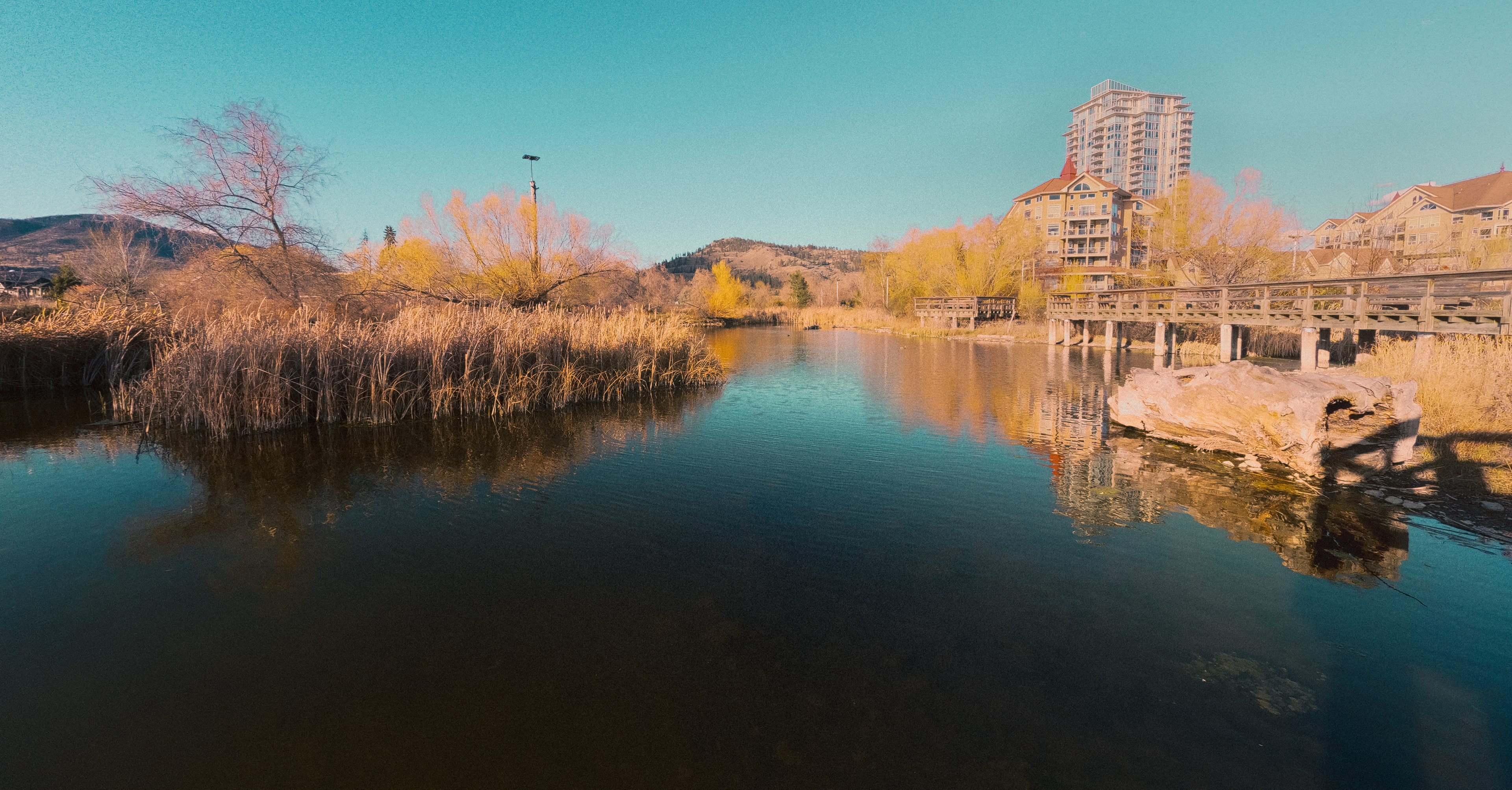 Muted Pond (2026)