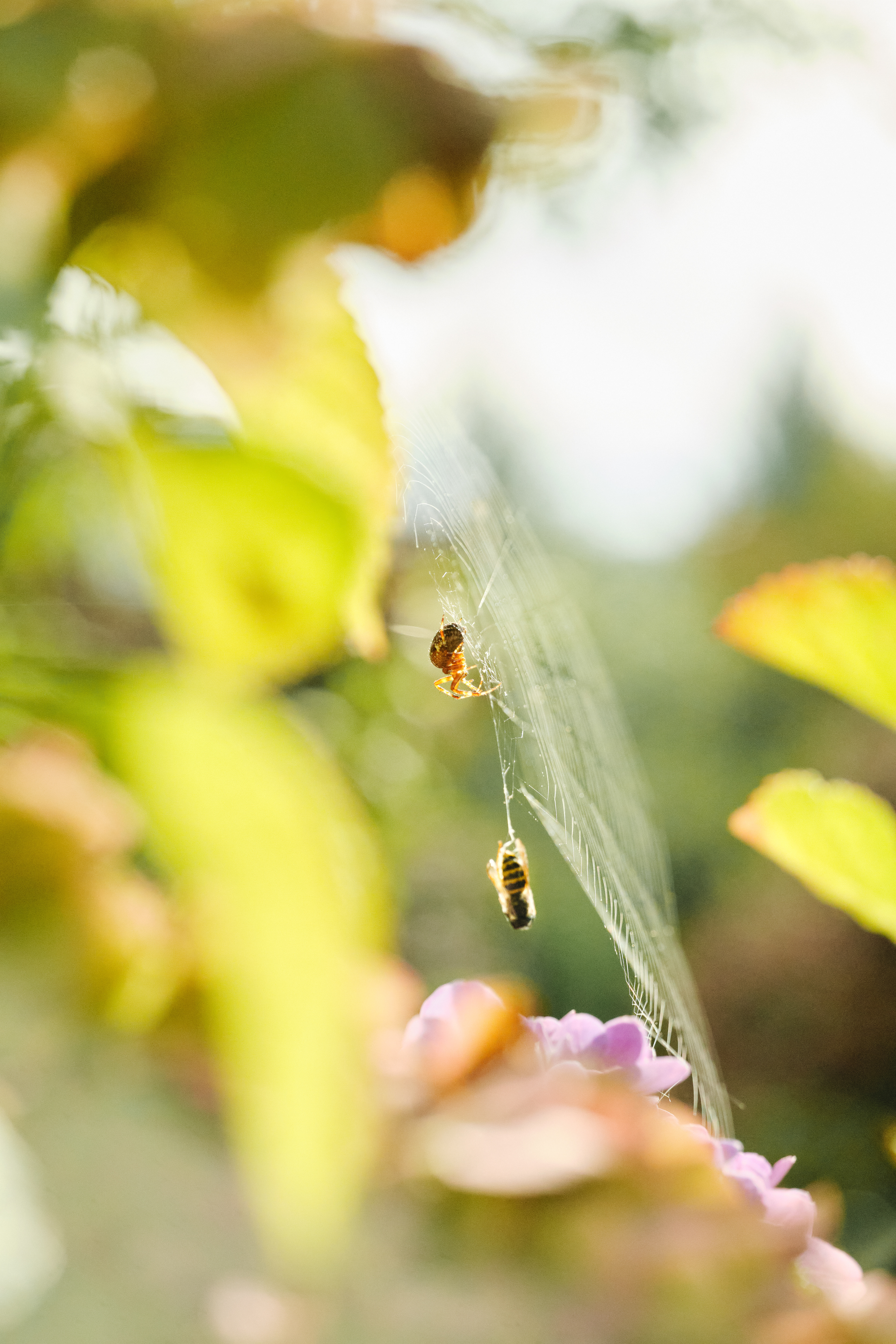 Ya Gotta Eat Here (2025)