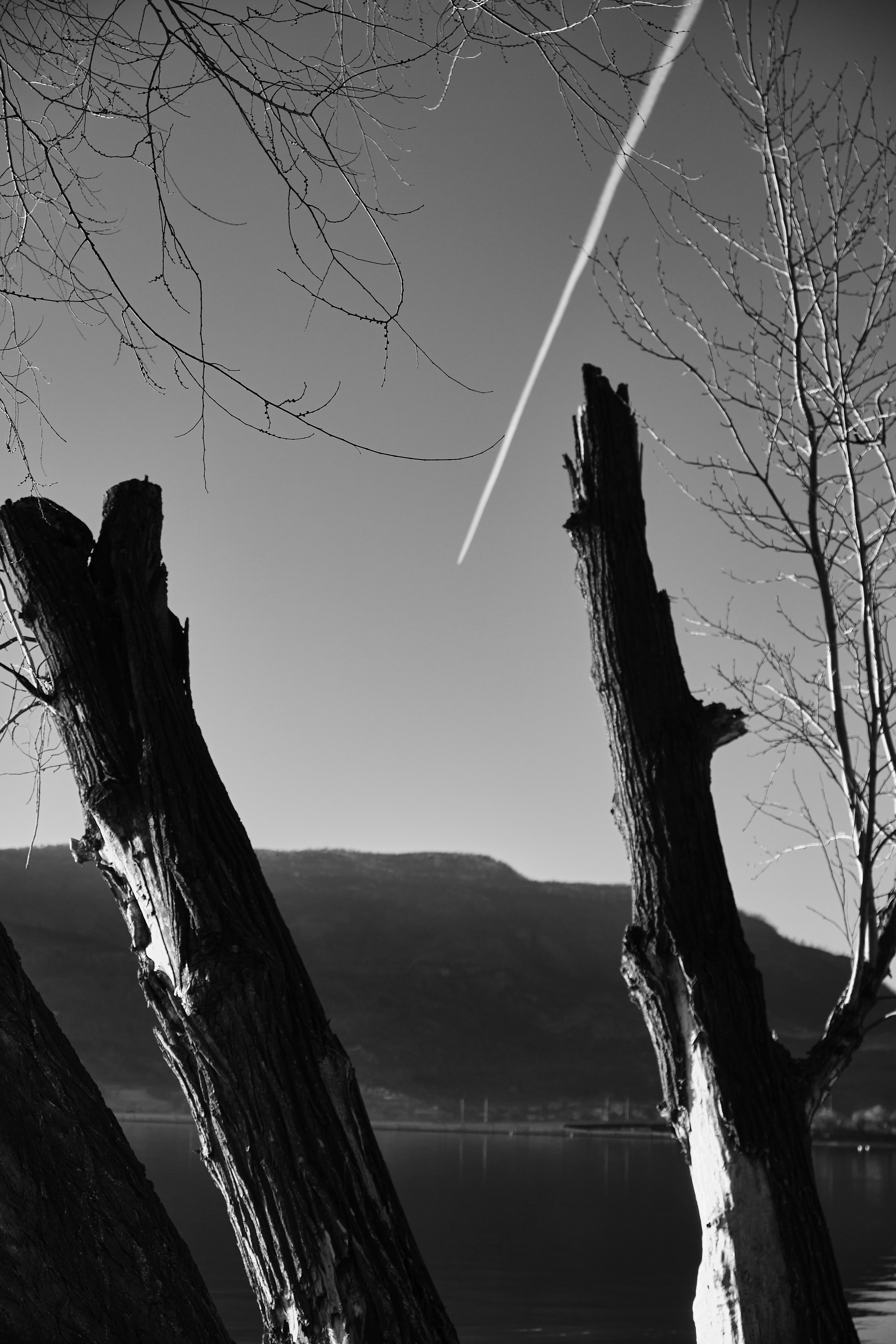 Chem Trails (2022)