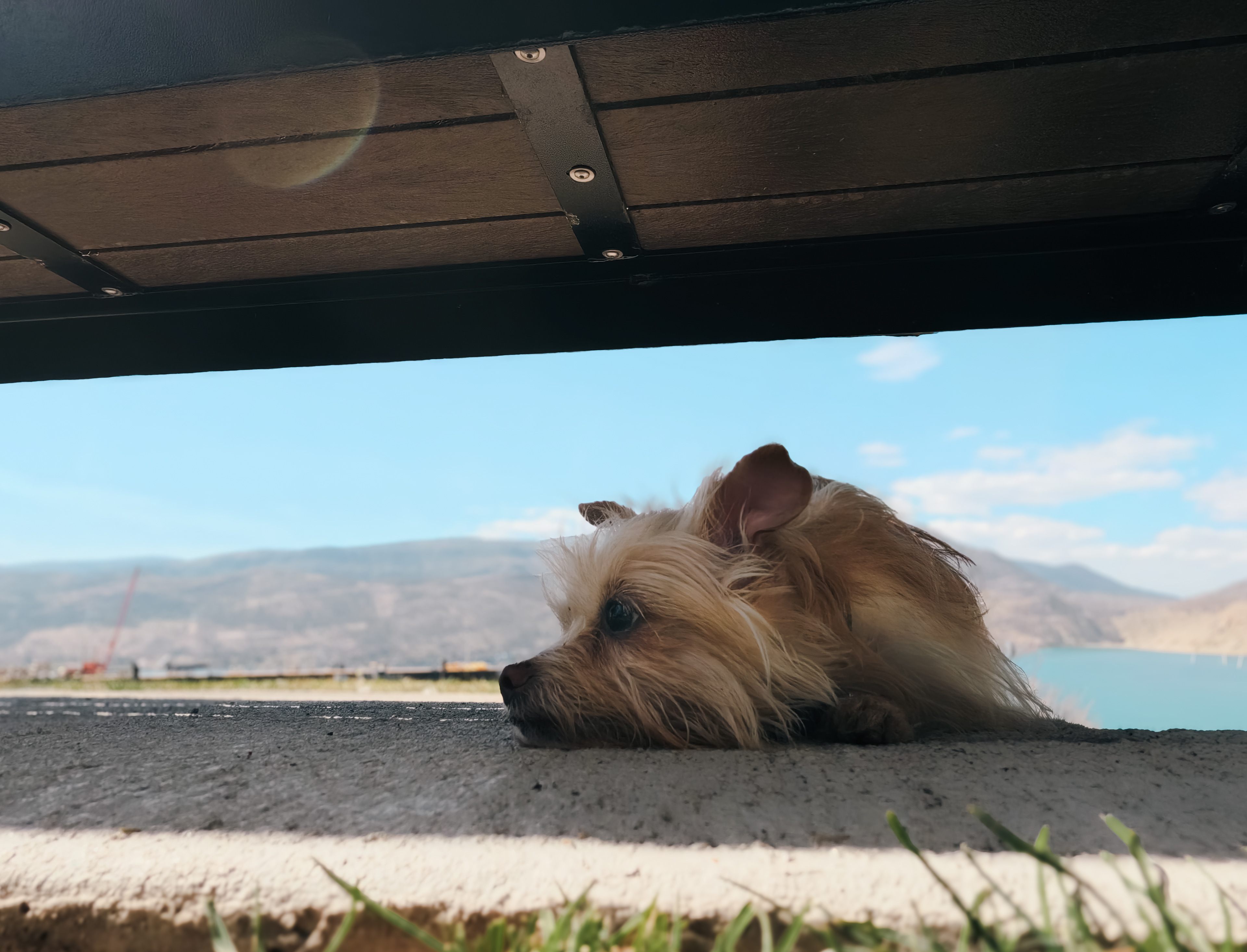 Sadie: Tired (2026)
