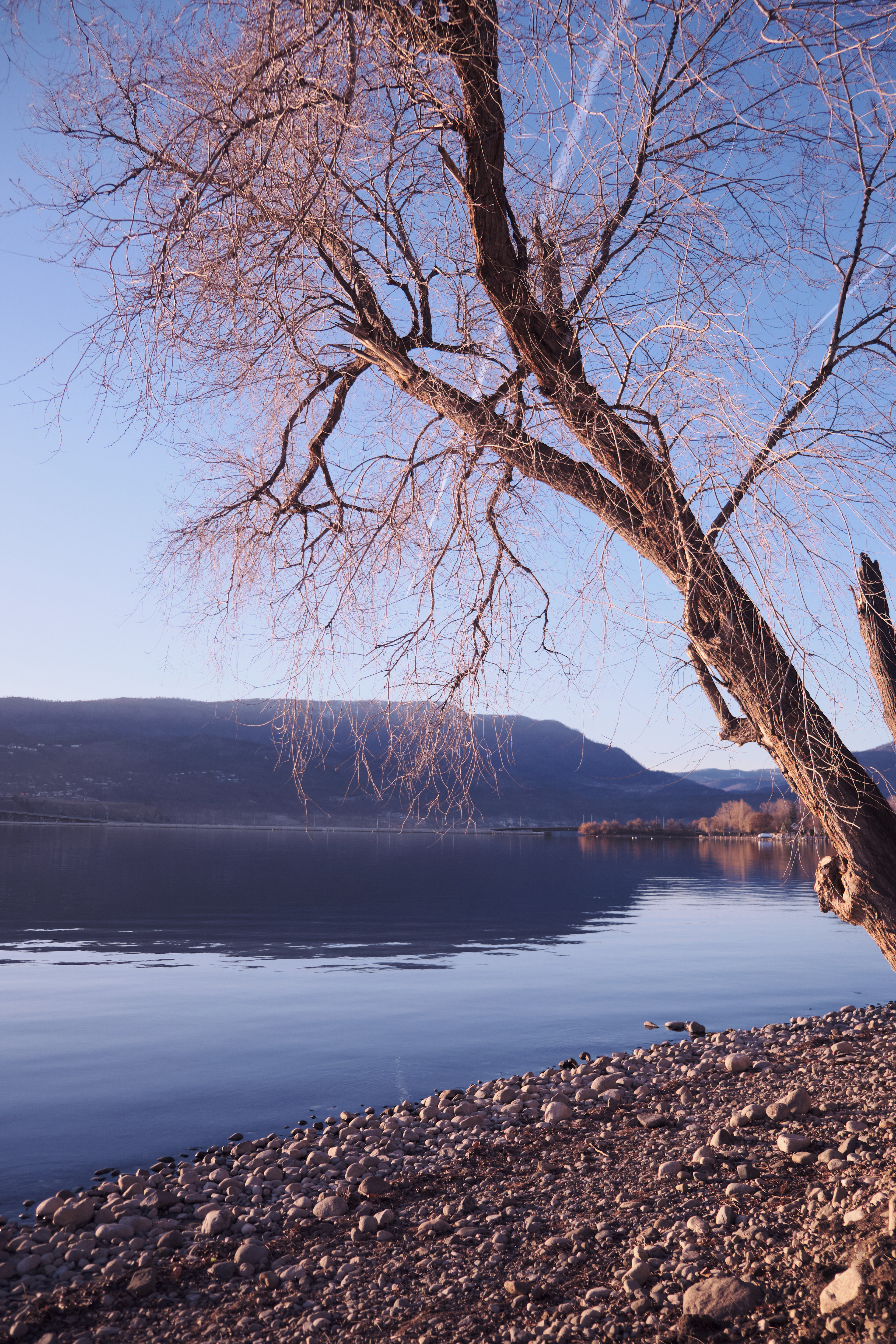 Lake Front in Ektachrome (2021)