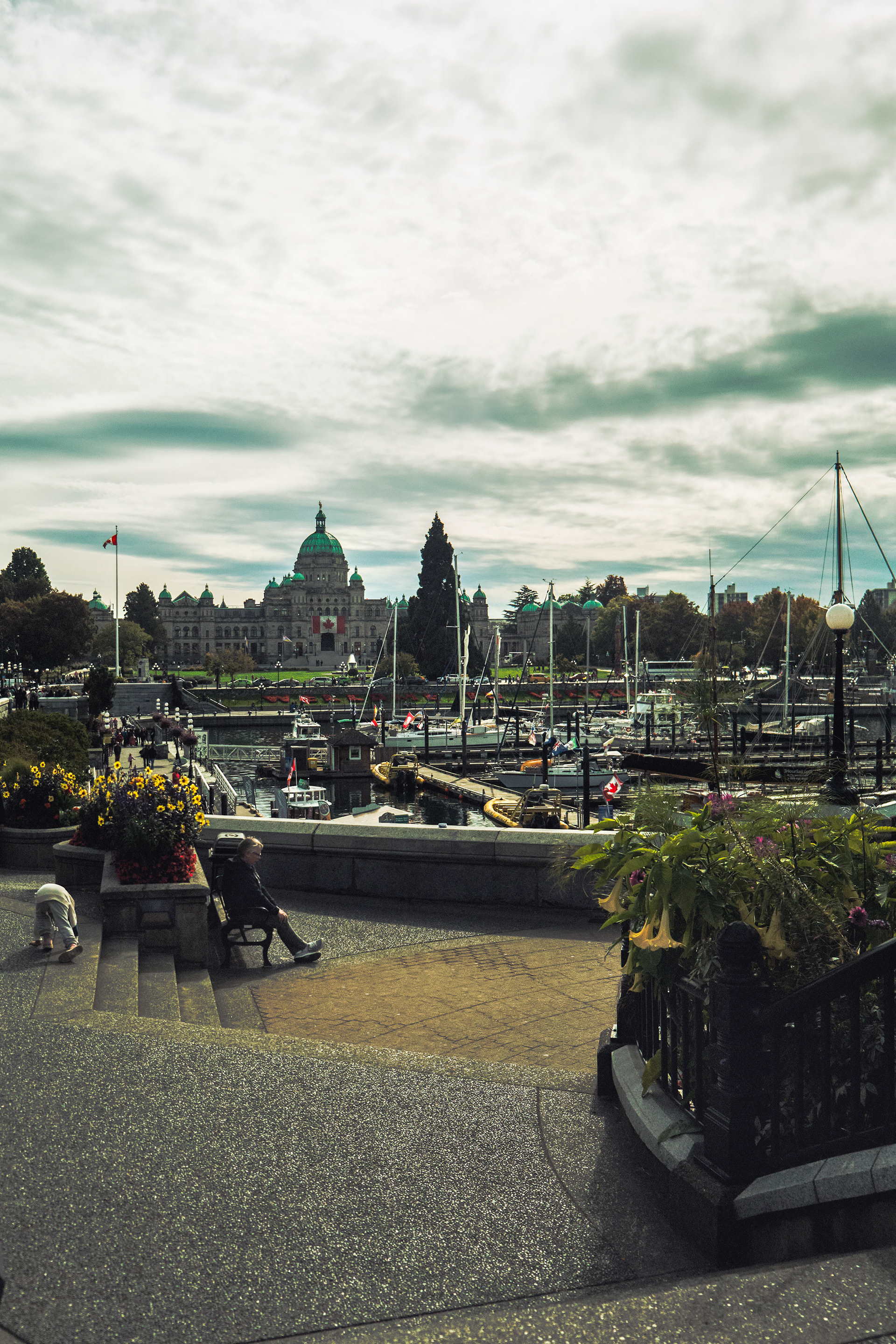Downtown Victoria (2025)