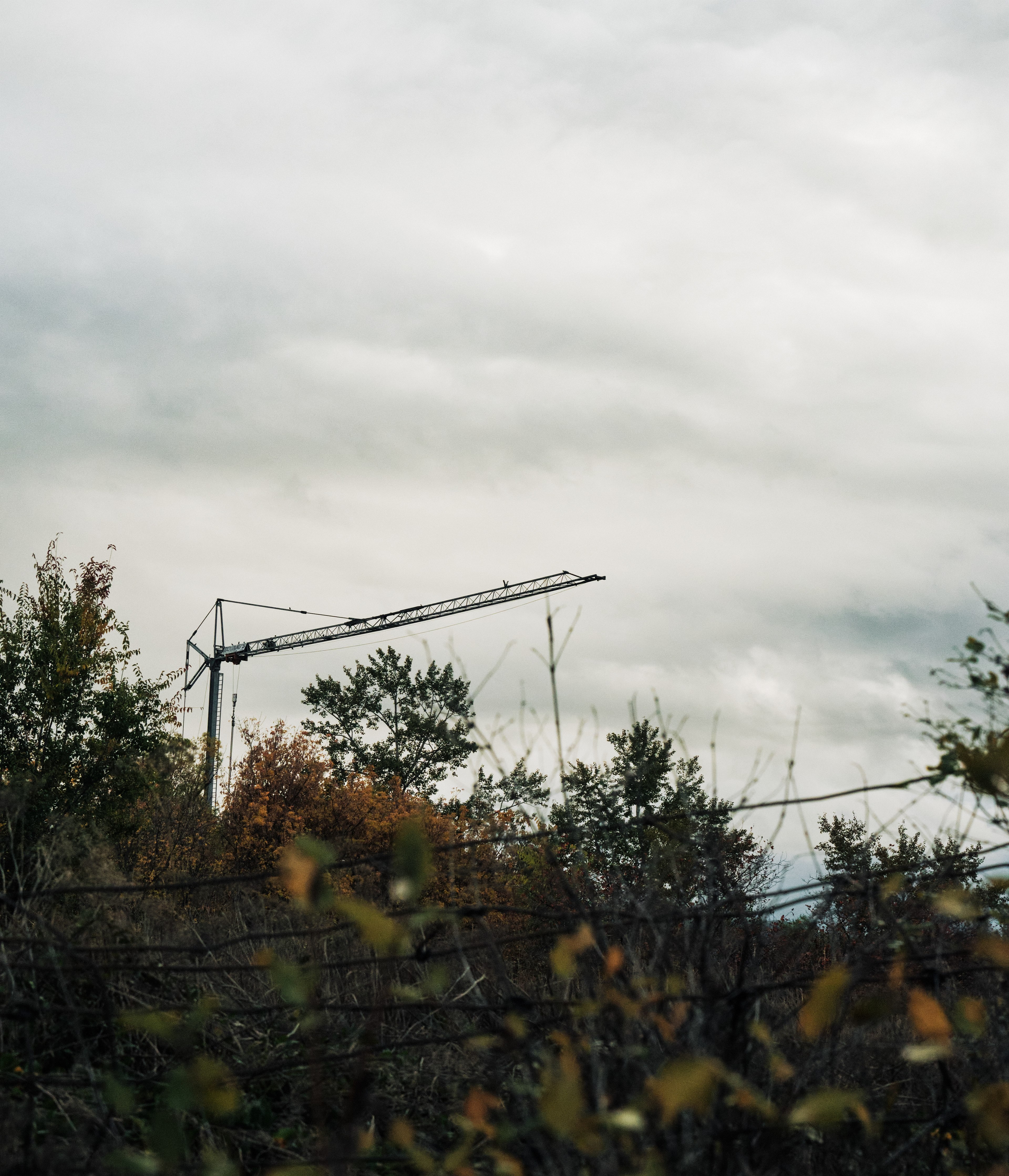 Crane & Fence (2025)