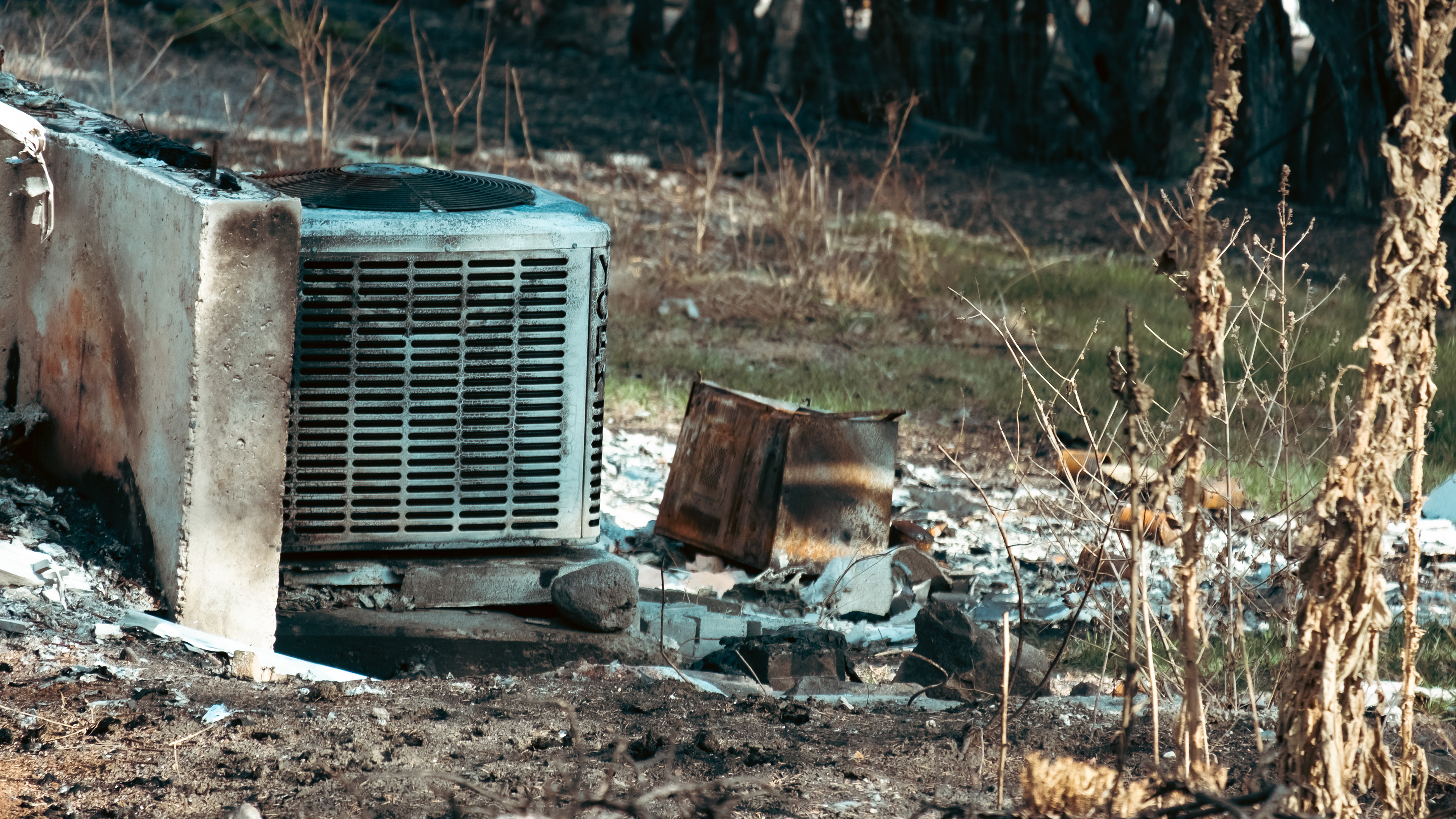 Blackened Cooler (2023)