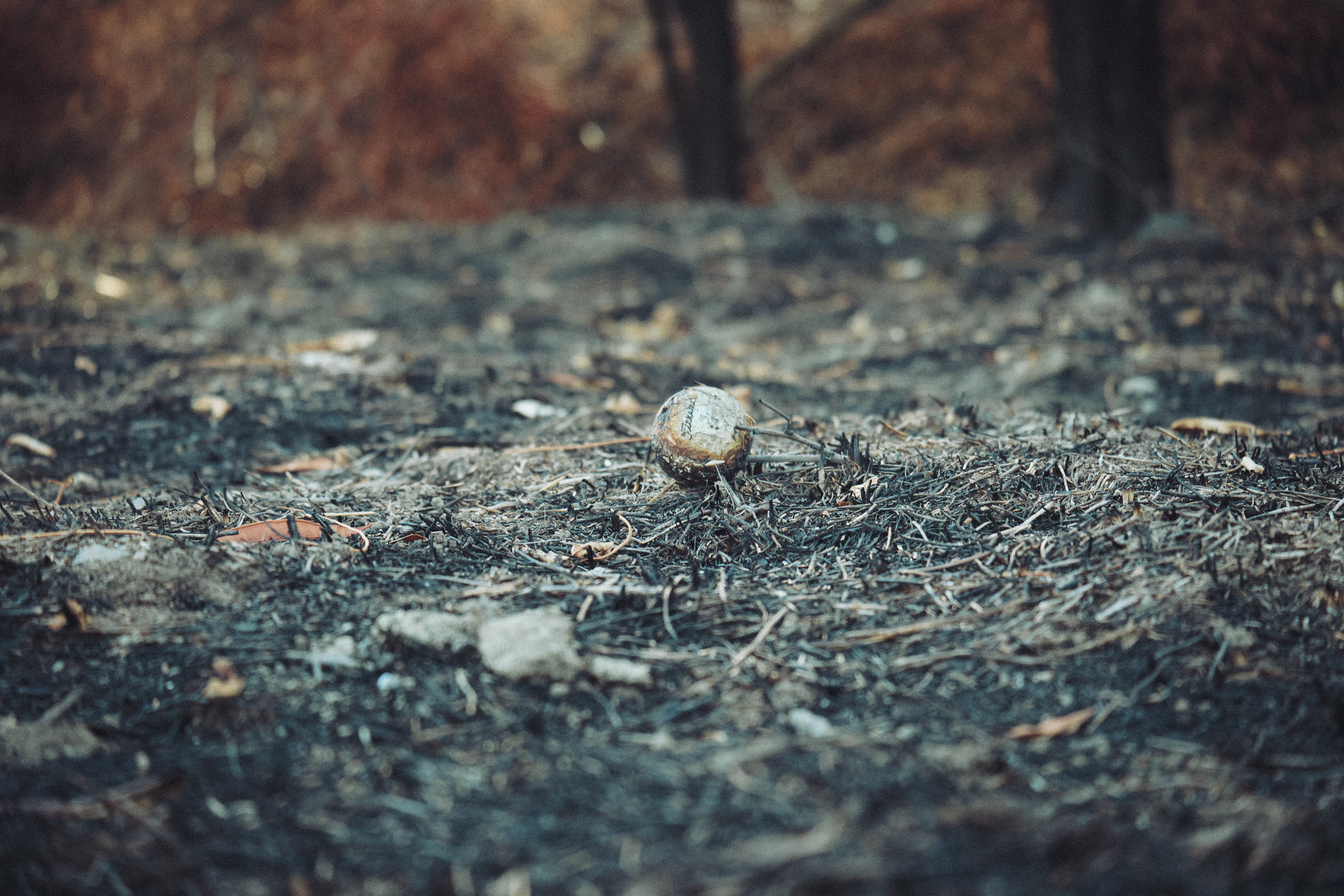 Titlest Golf Ball: Wide (2023)