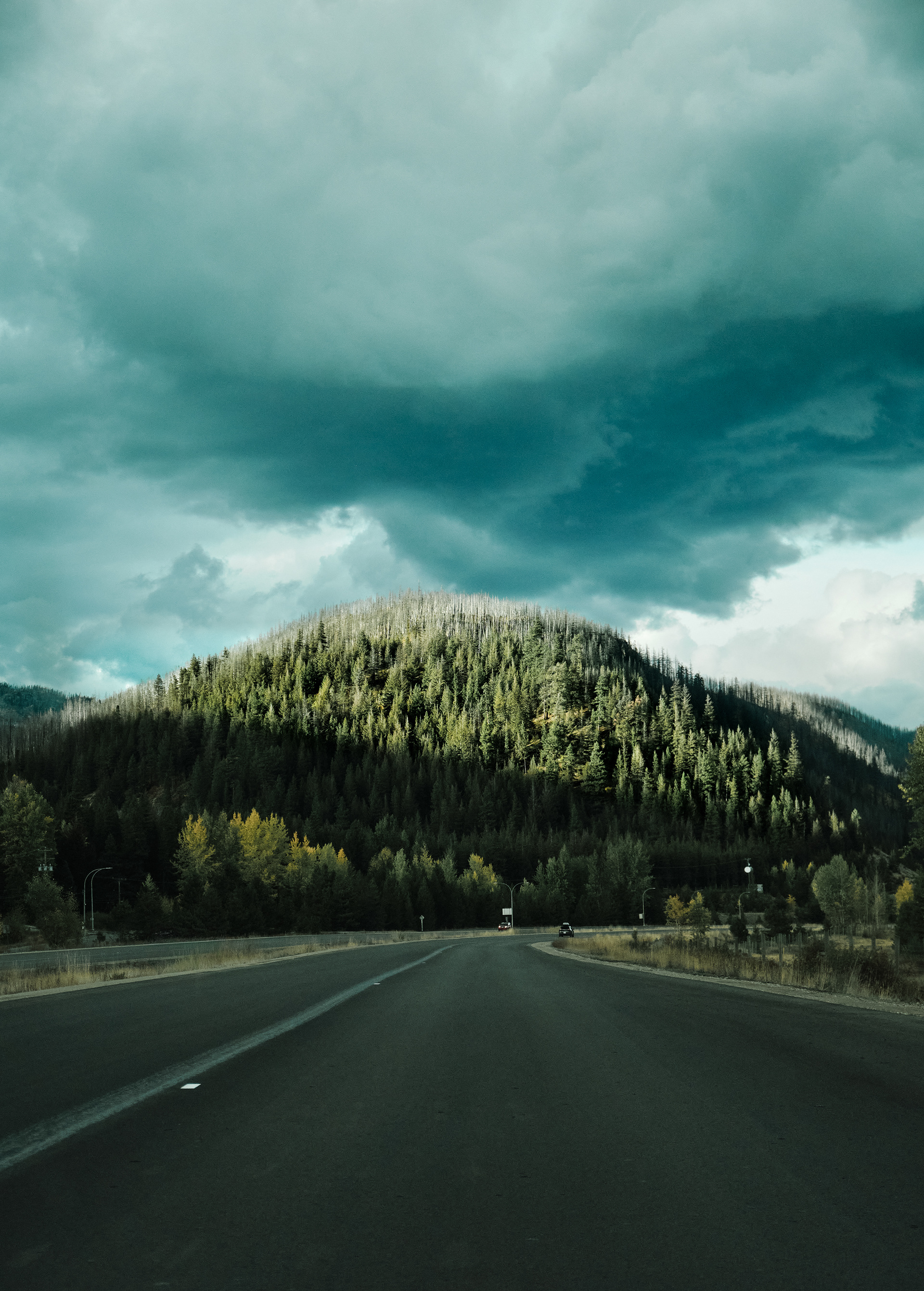 Looming Cloud (2025)