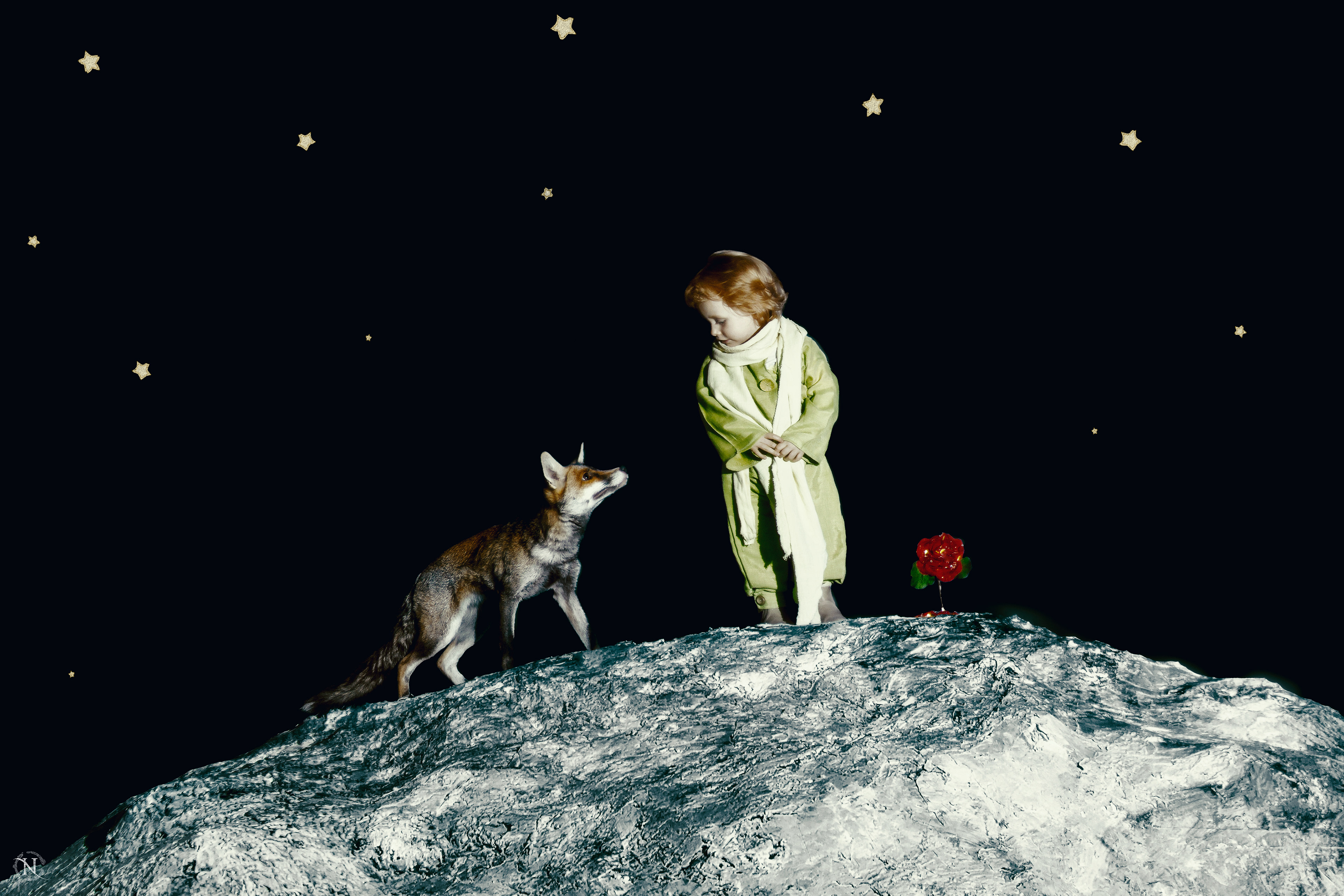 The Little Prince — Set design and construction, including the asteroid, photography and post-production by me. Featuring Rousselune, my rescued fox.