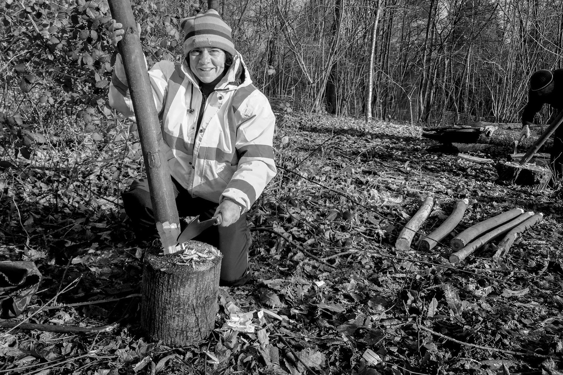 Fencing in Stanmer woods