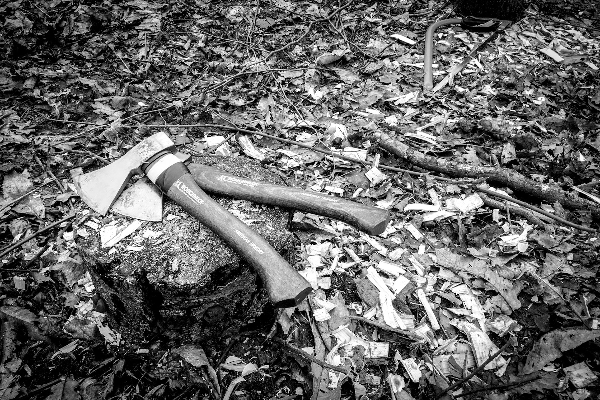 Fencing in Stanmer woods