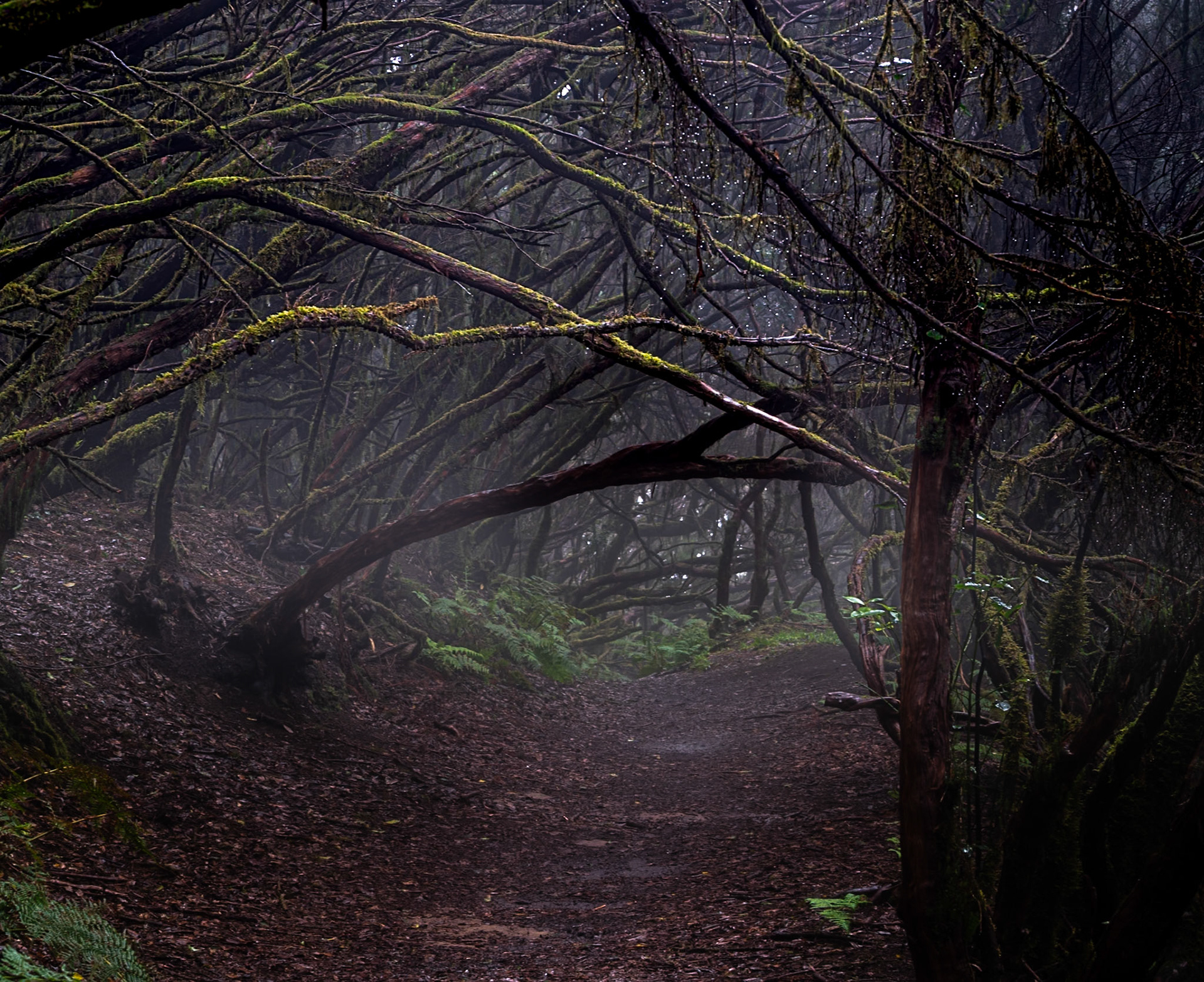Parque Rural de Anaga