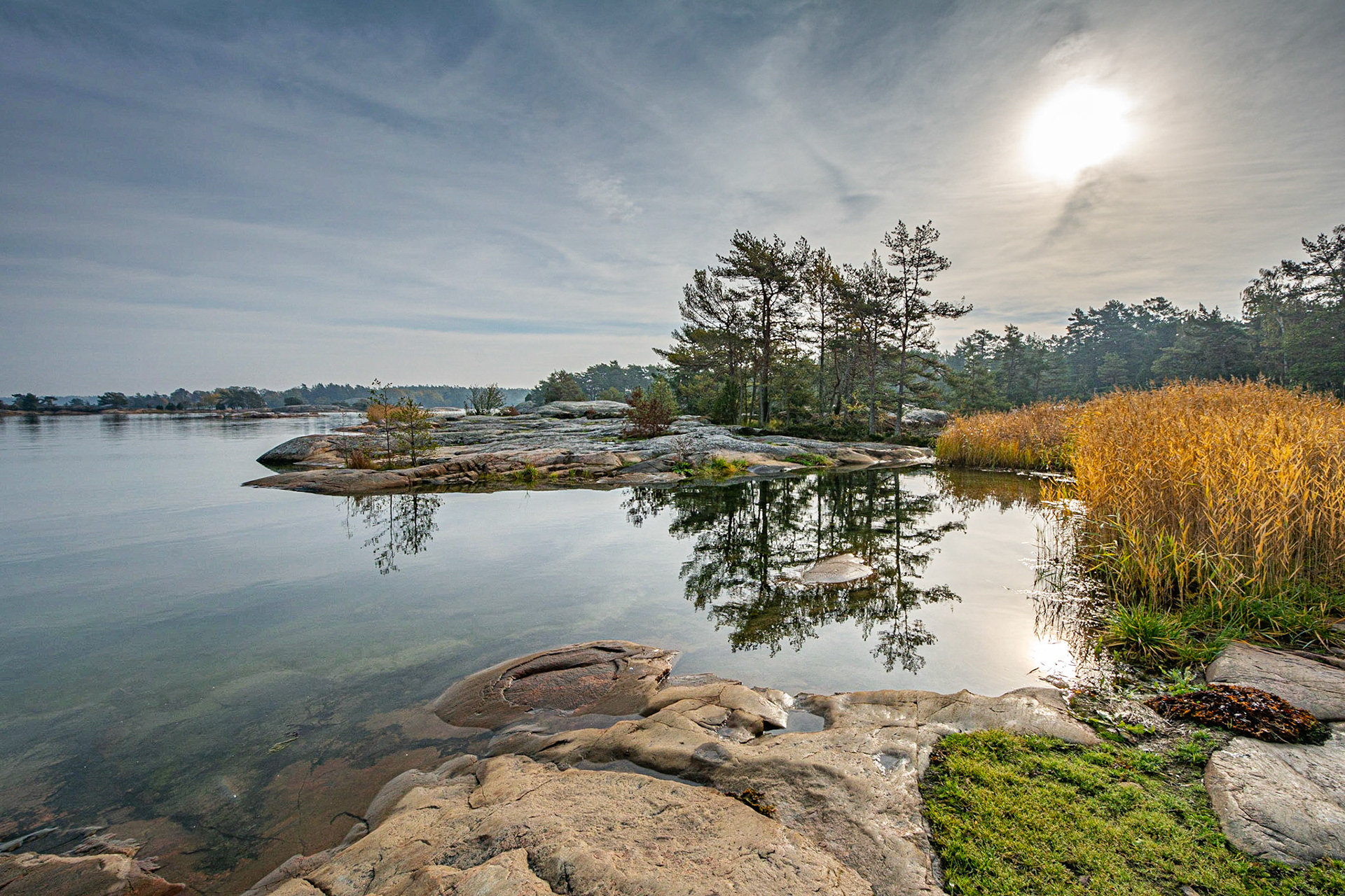 Stendörrens Naturreservat