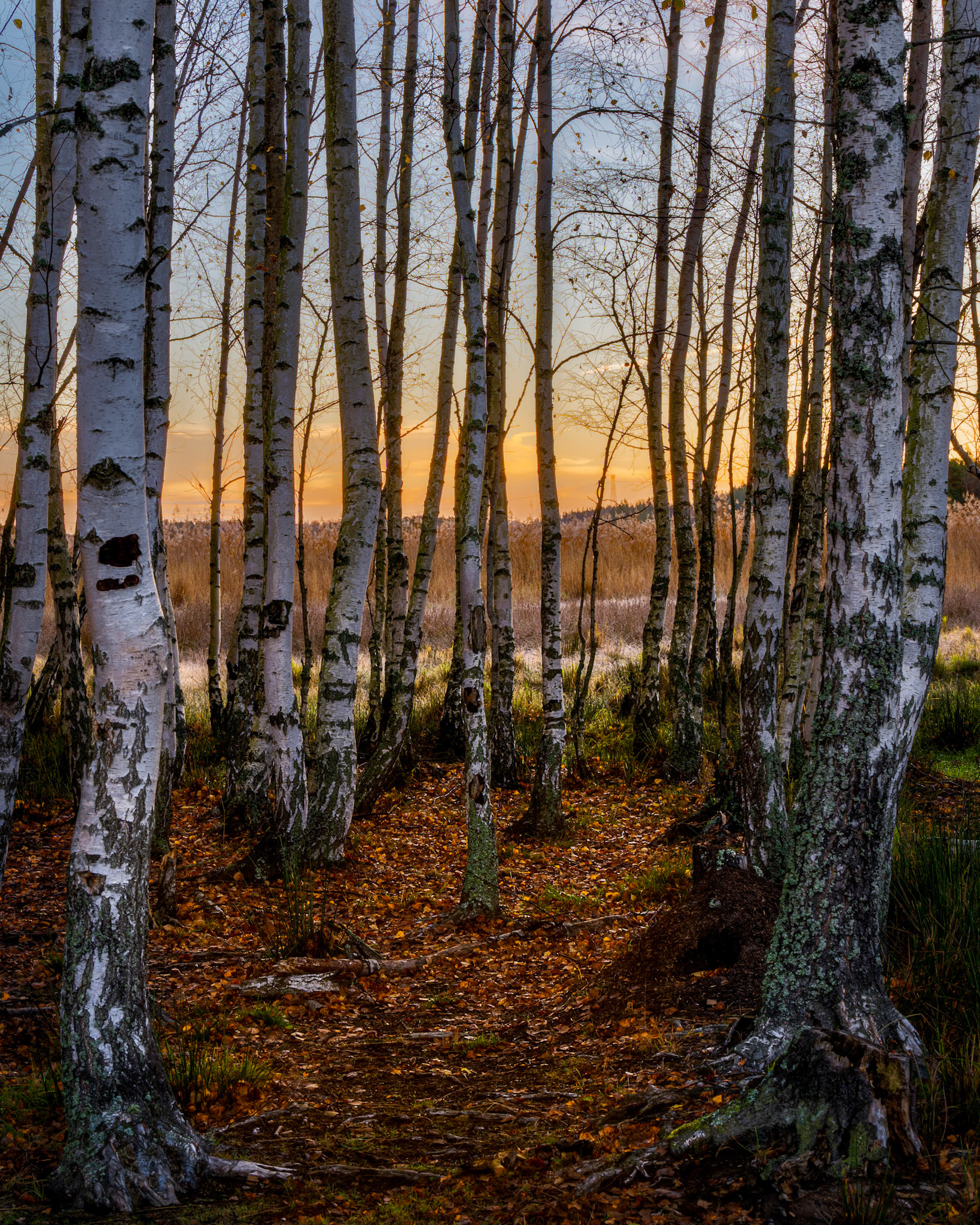 Drottningholm,. Stockholm