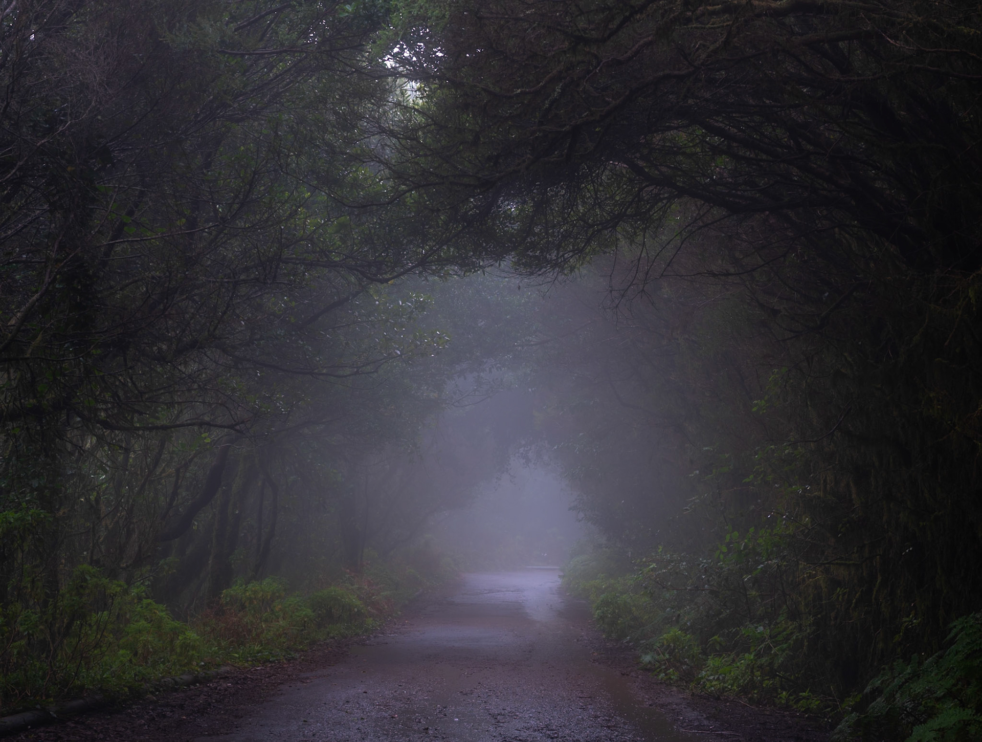 Parque Rural de Anaga