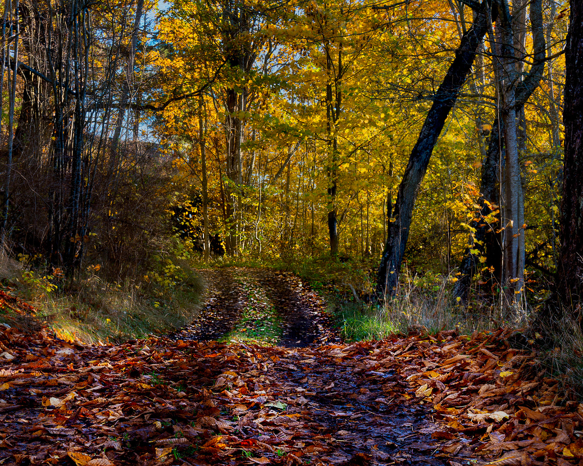 Drottningholm,. Stockholm