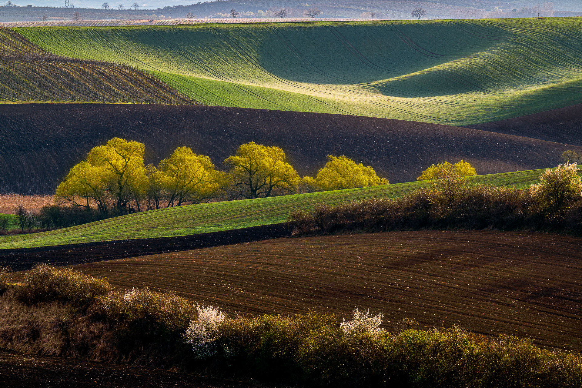Moravia