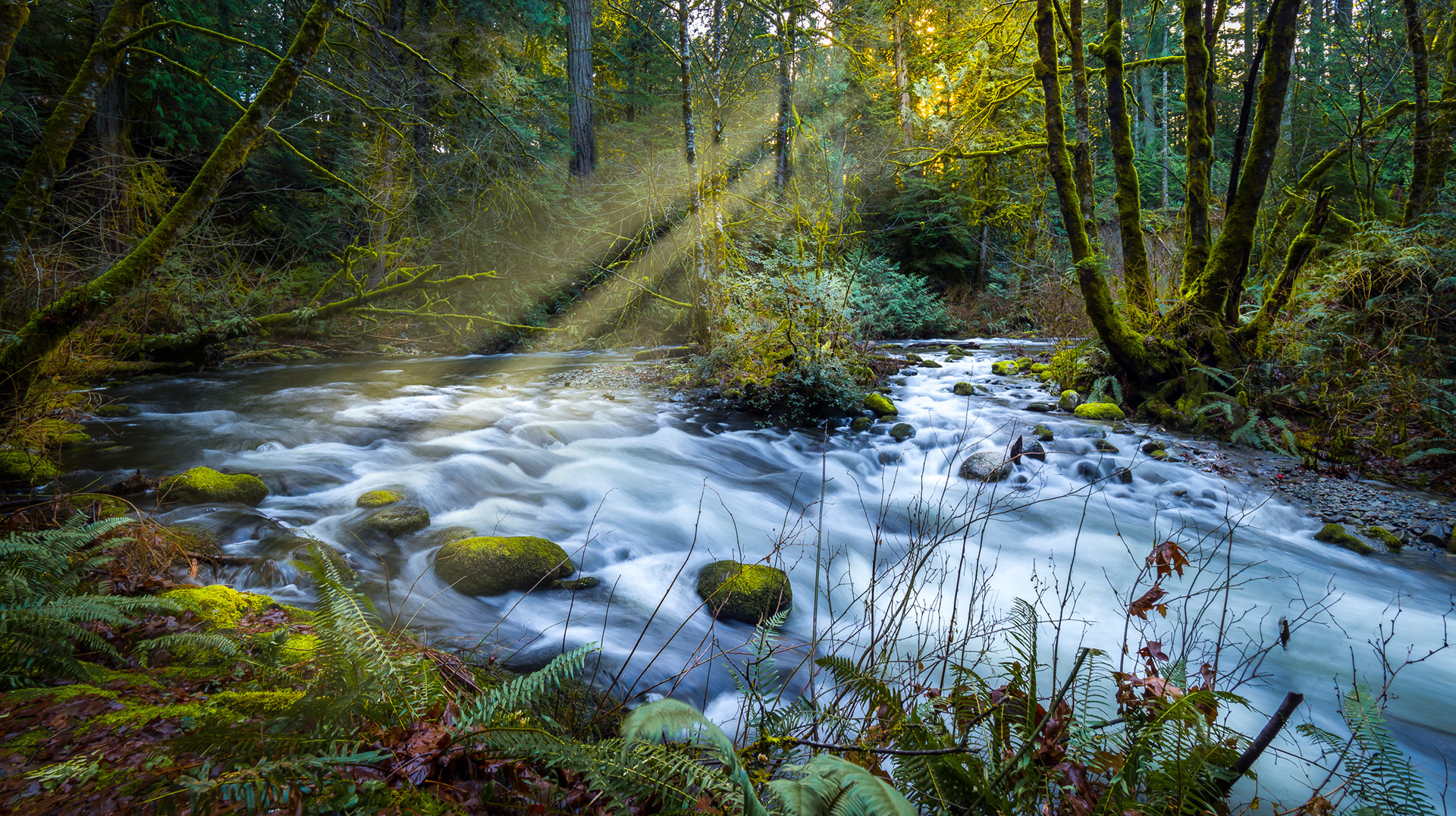 Goldstream River