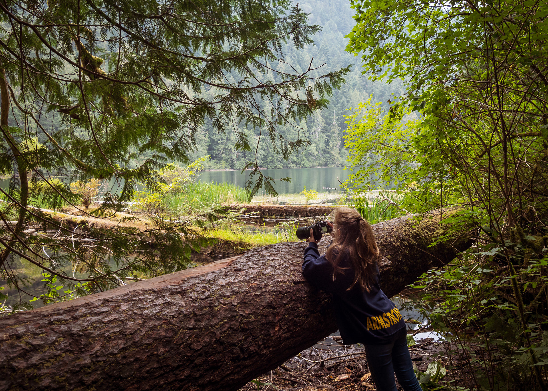 Cathedral Grove