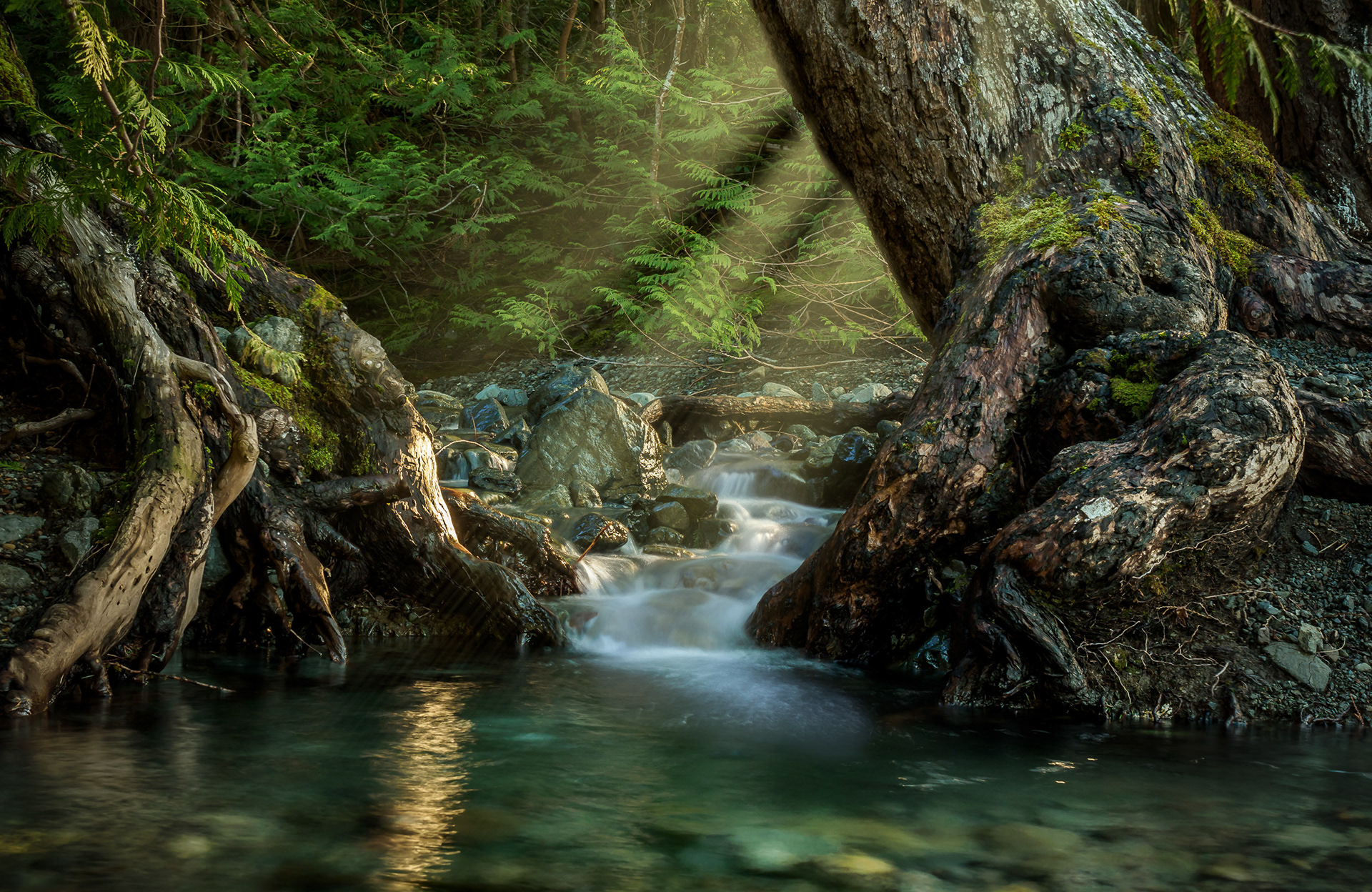 Peaceful pool