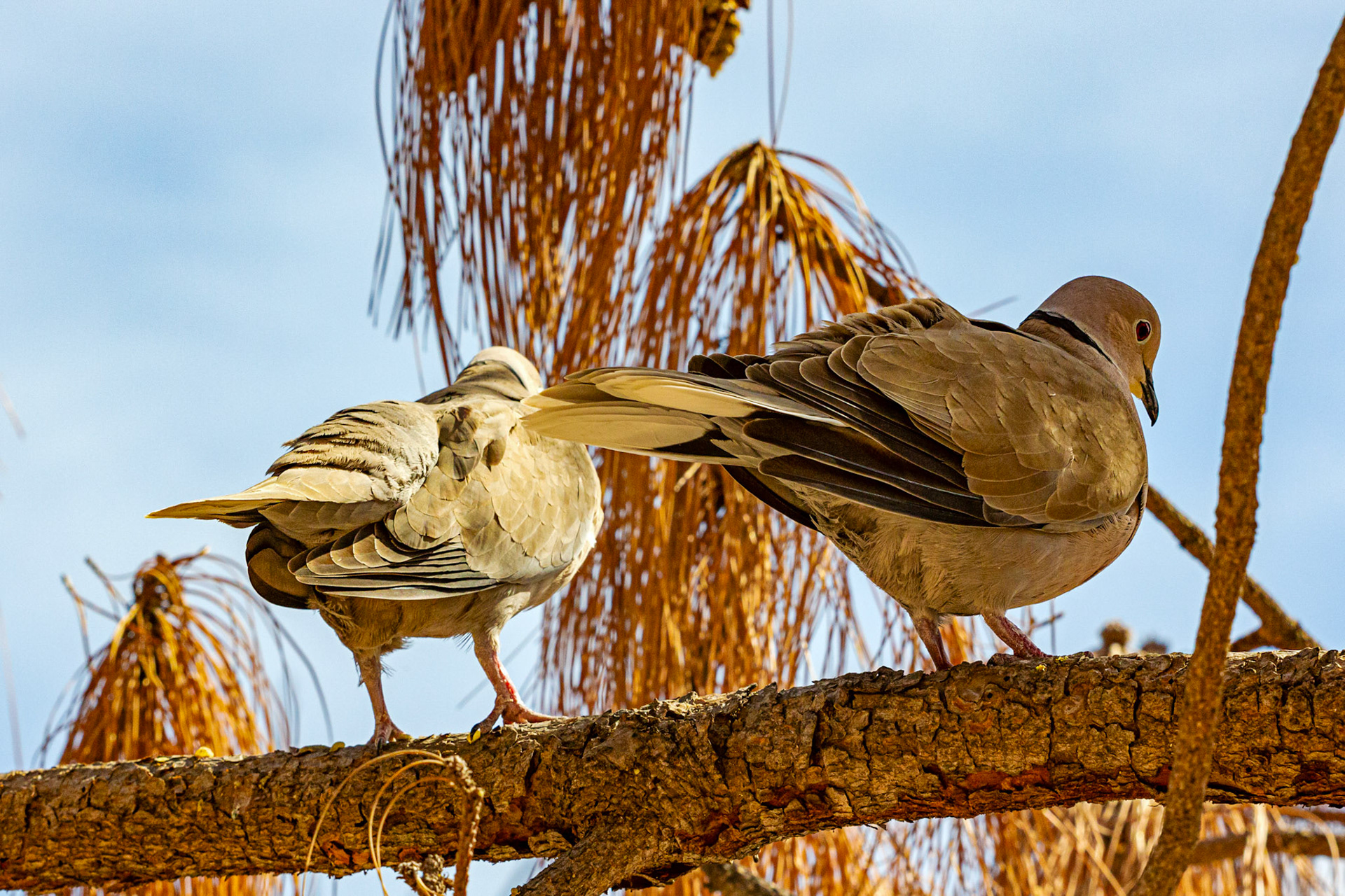 Alicante 17 March 2024