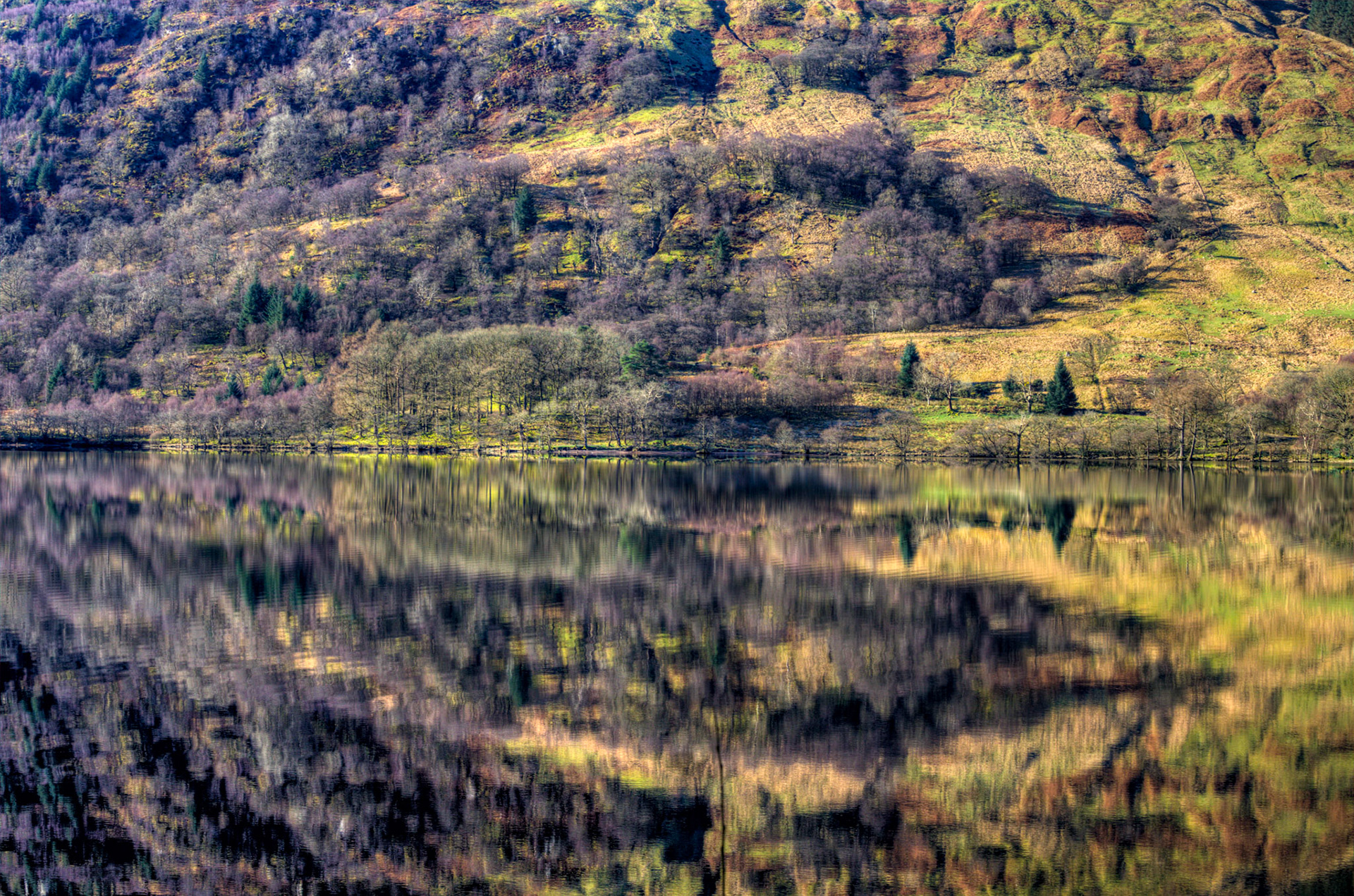 Loch Eck 26 February 2023