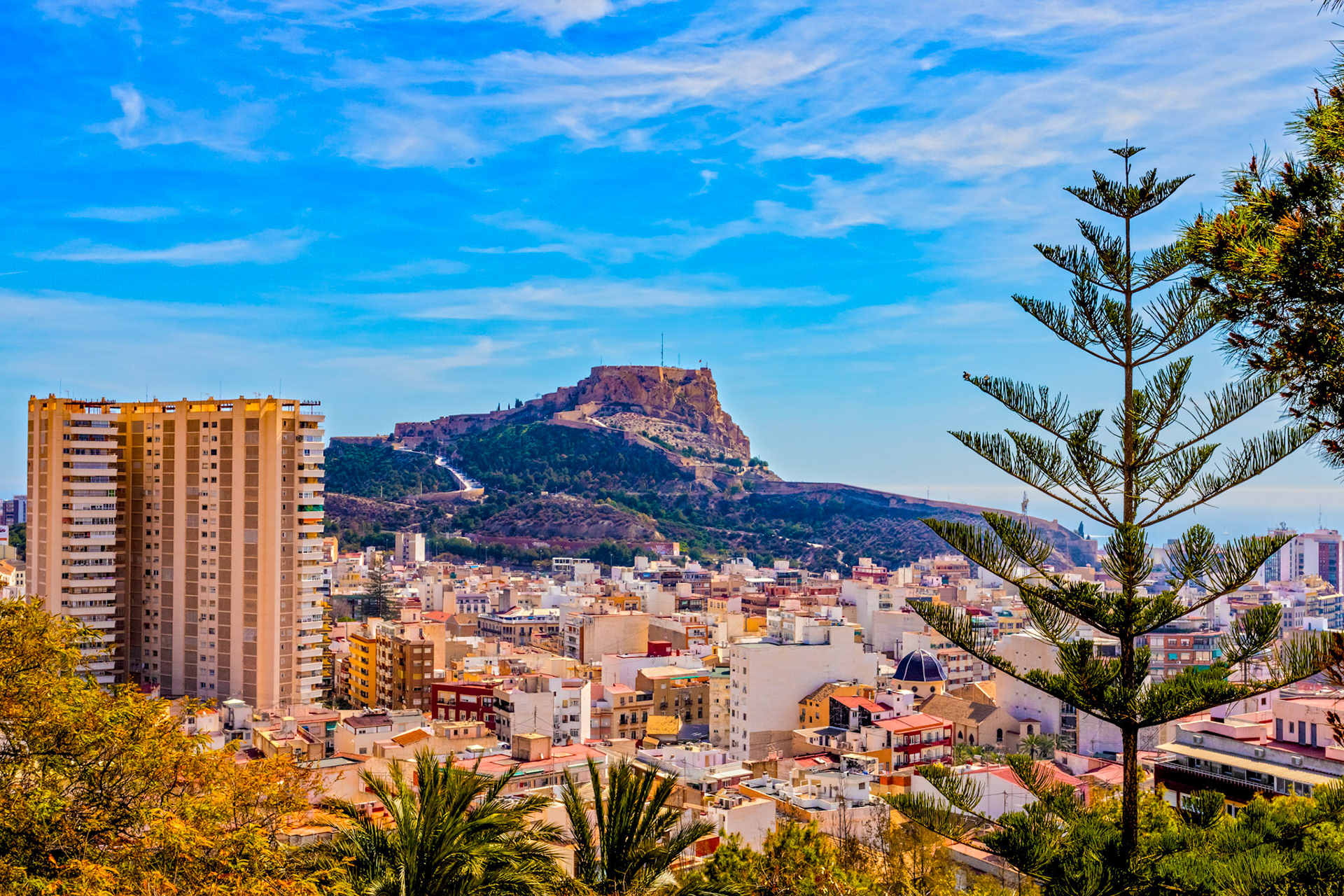 Alicante 17 March 2024