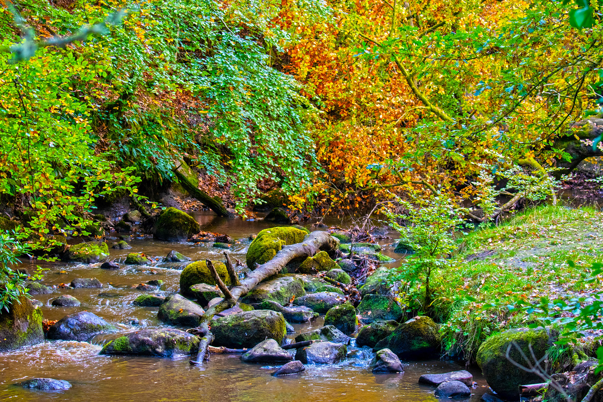 Polkemmet Country Park 10 October 2024