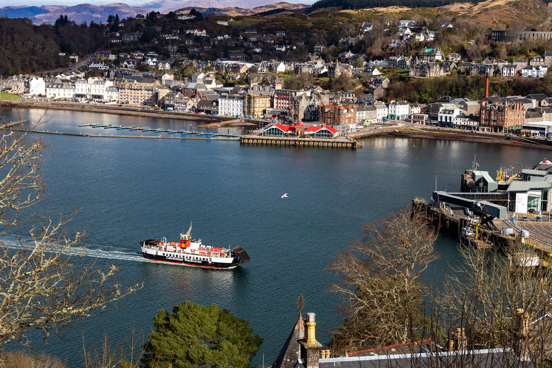 View from Pulpit Hill, Oban 25 February 2023