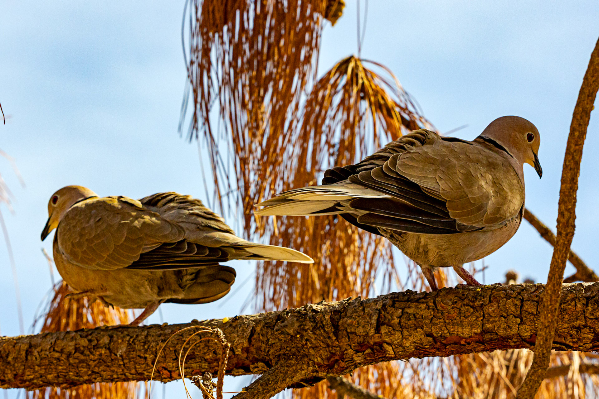 Alicante 17 March 2024