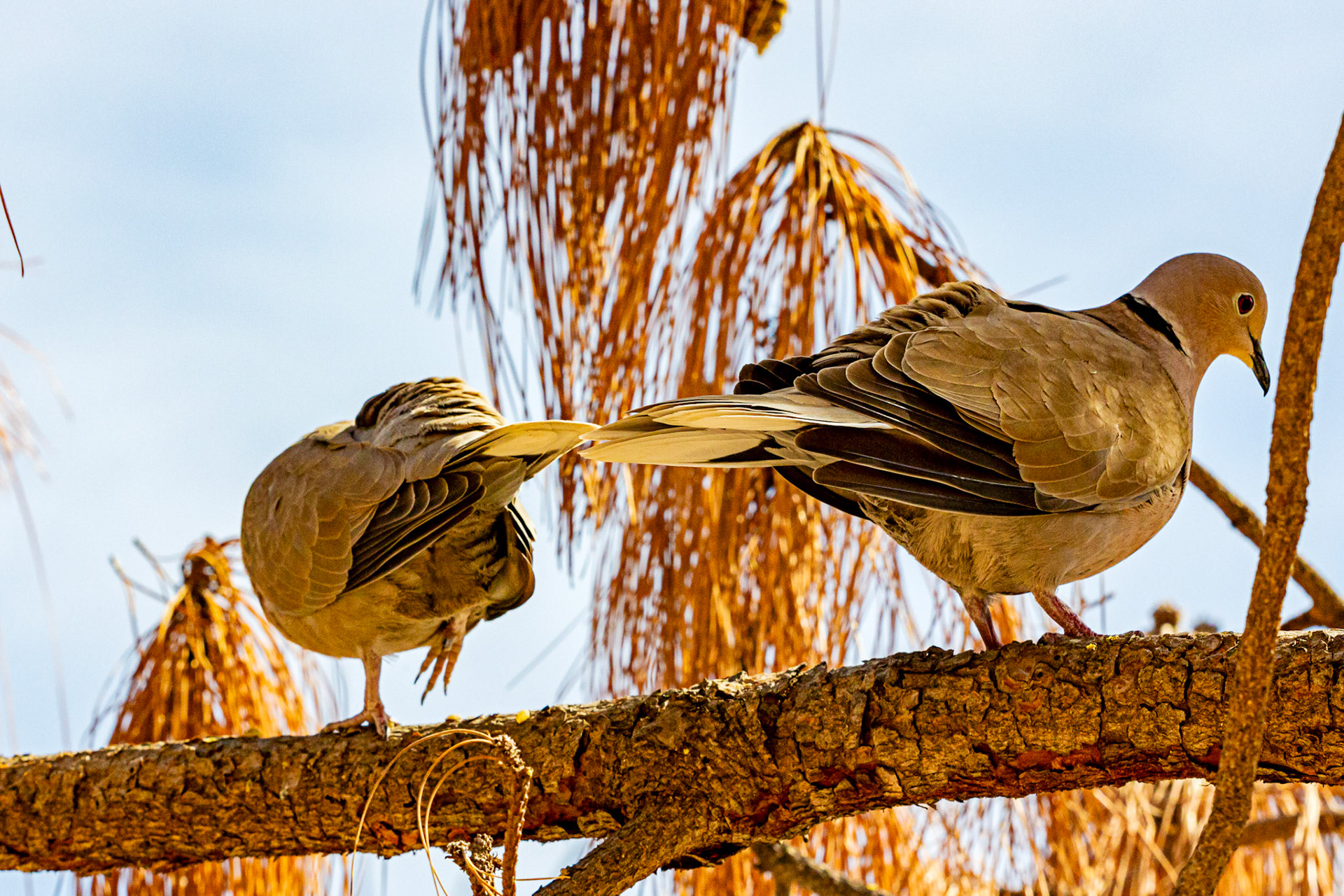 Alicante 17 March 2024