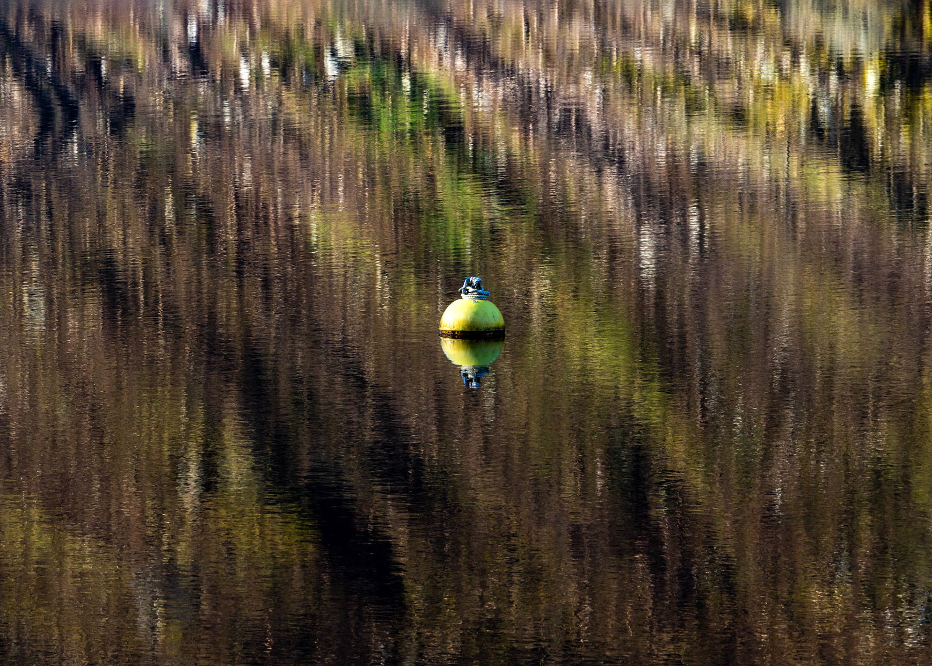 Loch Eck 26 February 2023