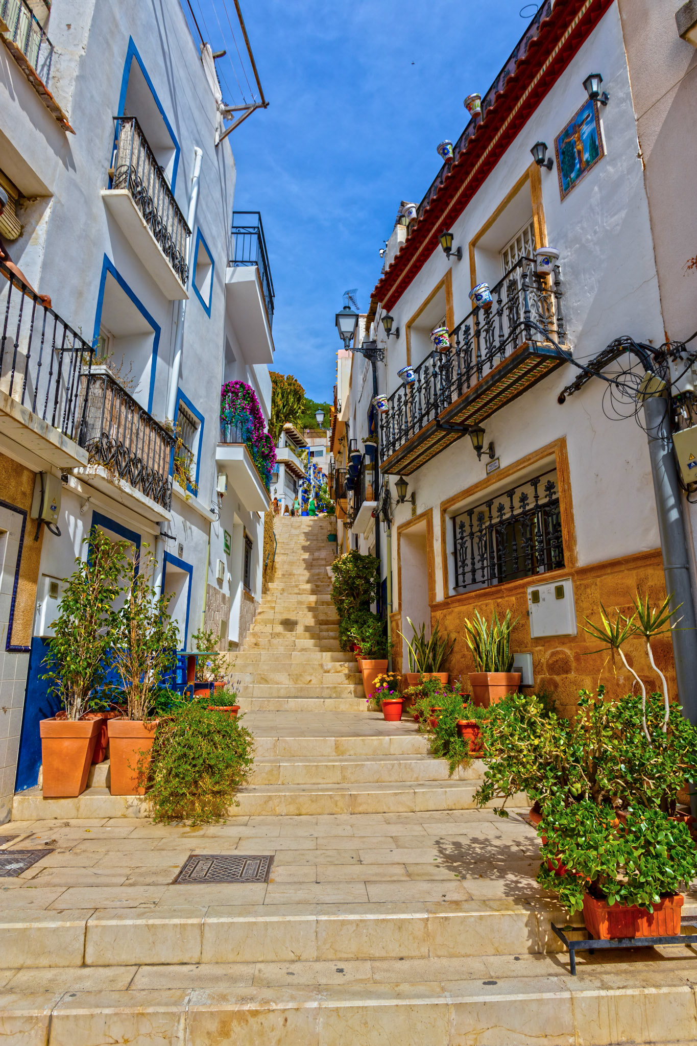 Alicante 17 March 2024