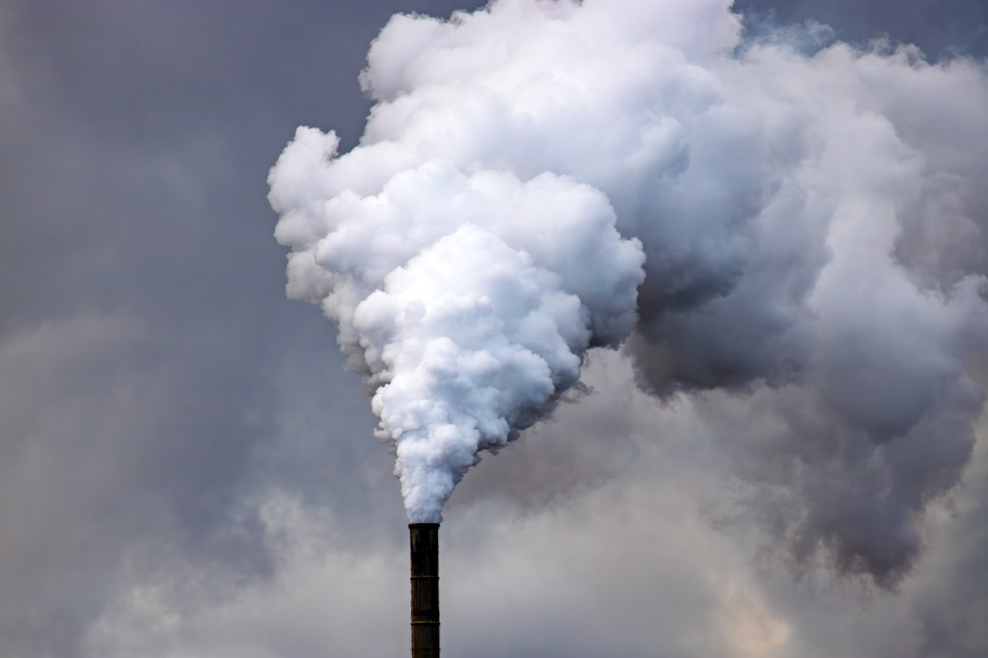 Barns Ness 25 Sept 2024